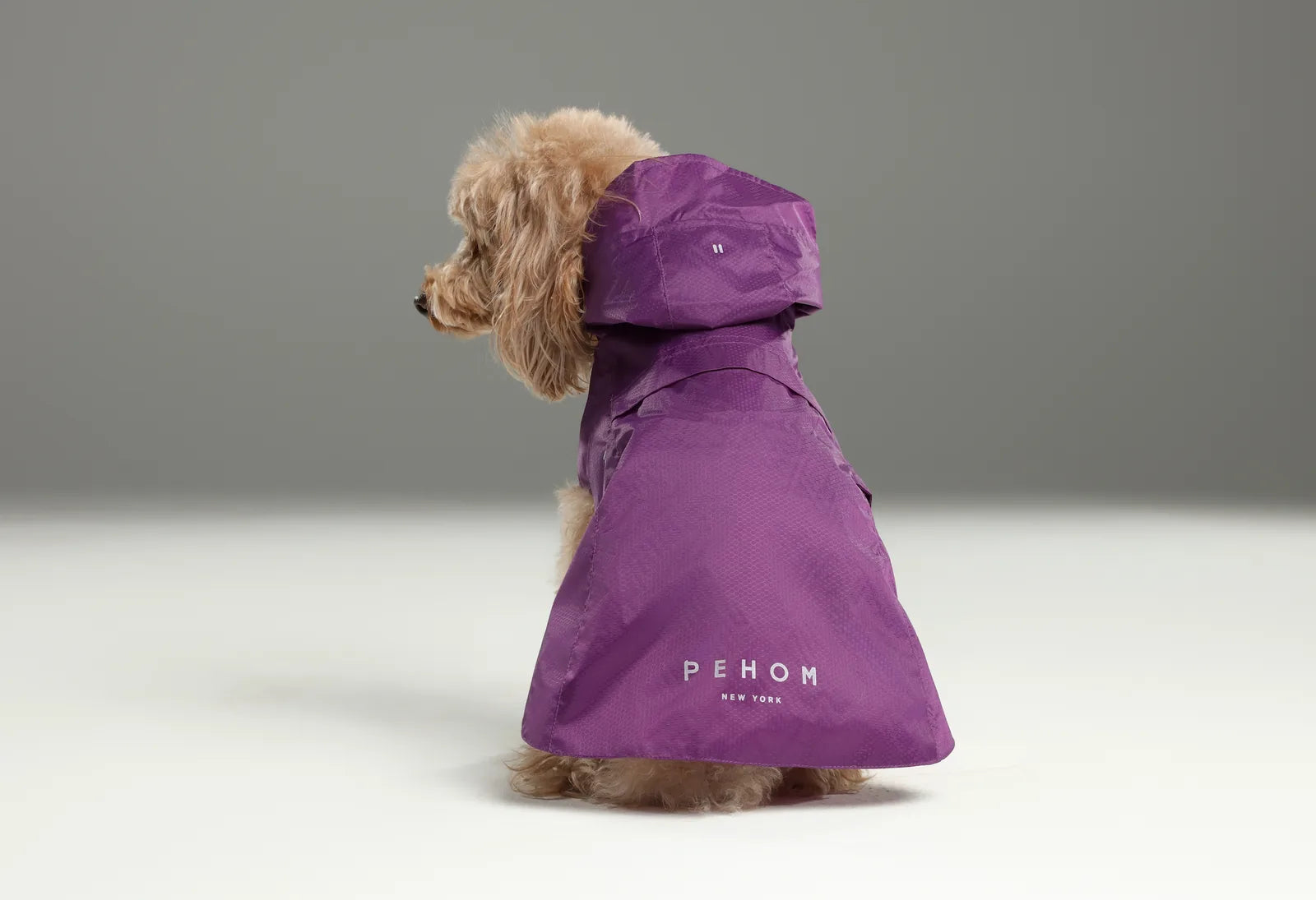 Lightweight purple raincoat for dogs featuring a hood, adjustable fit, and PEHOM branding. Ideal for rainy days.