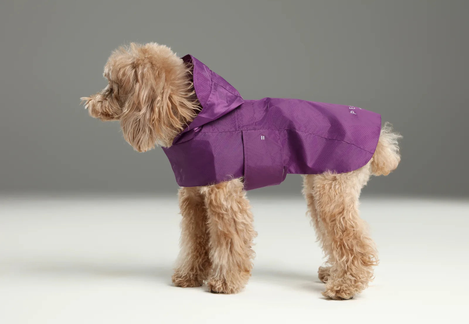 Lightweight purple raincoat for dogs with a hood, adjustable fit, and reflective strips for visibility during walks.