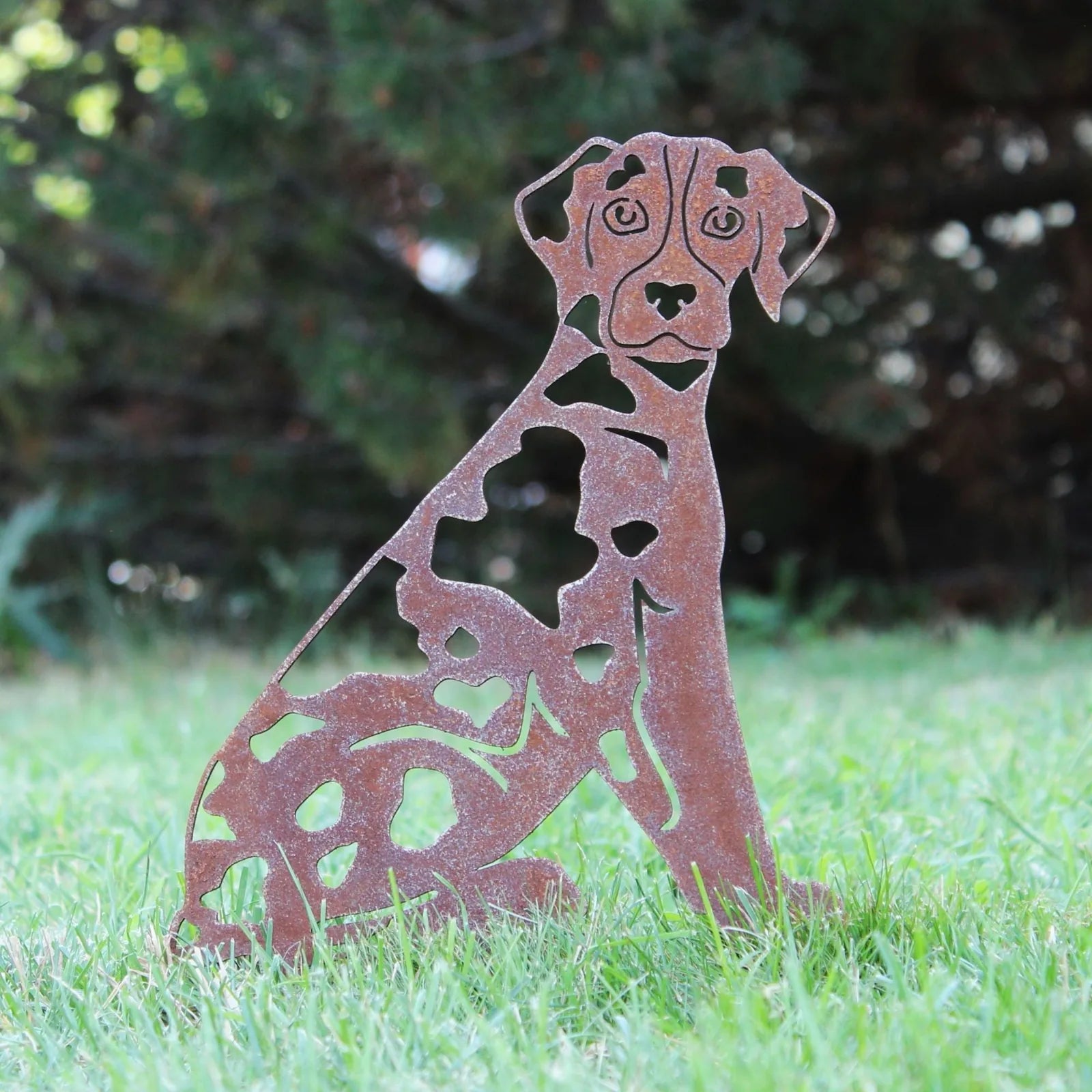 Corten steel silhouette of a sitting Catahoula Leopard Dog on grass, showcasing its rustic design and detailed cutouts.