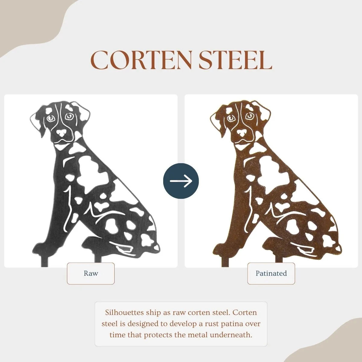 Catahoula Leopard Dog metal silhouette, shown in raw and patinated Corten steel finishes, with intricate details and texture.