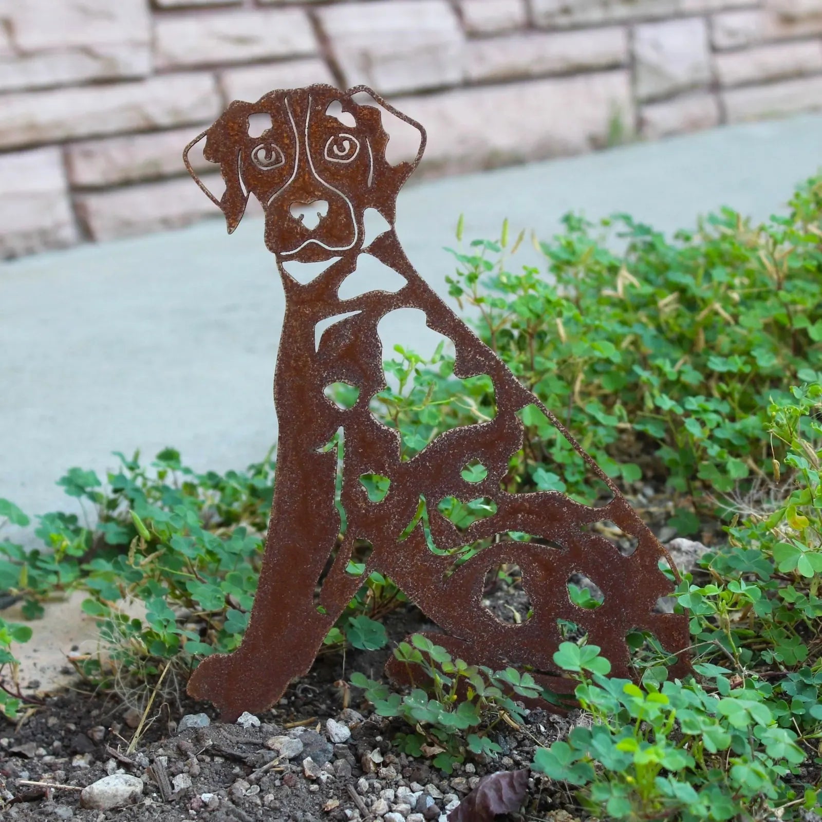 Rustic Catahoula Leopard Dog metal silhouette in Corten steel, surrounded by green plants in an outdoor setting.