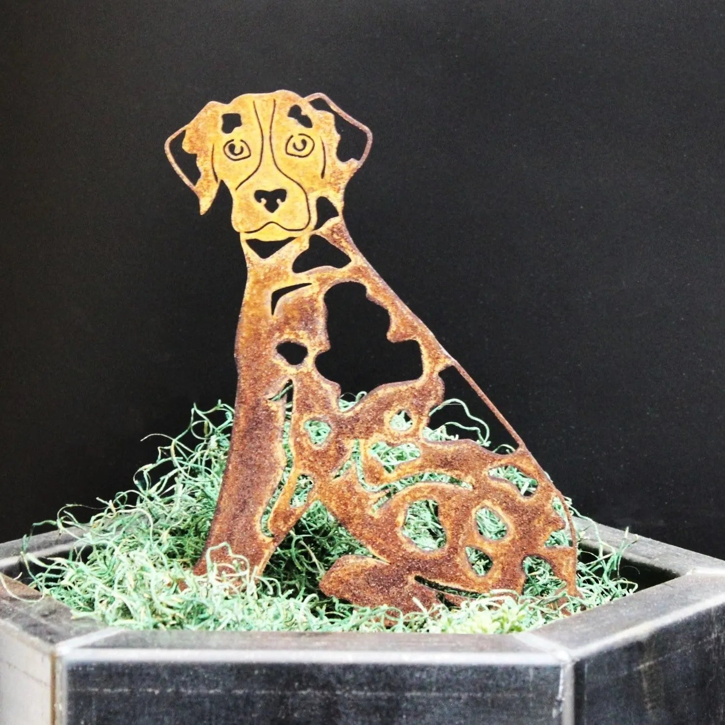 Catahoula Leopard Dog metal silhouette in Corten steel, featuring a rustic design, displayed on green moss in outdoor decor.