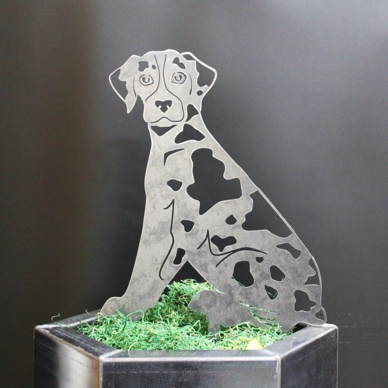 Catahoula Leopard Dog metal silhouette in weathered steel, depicted sitting, with intricate cut-out detailing.