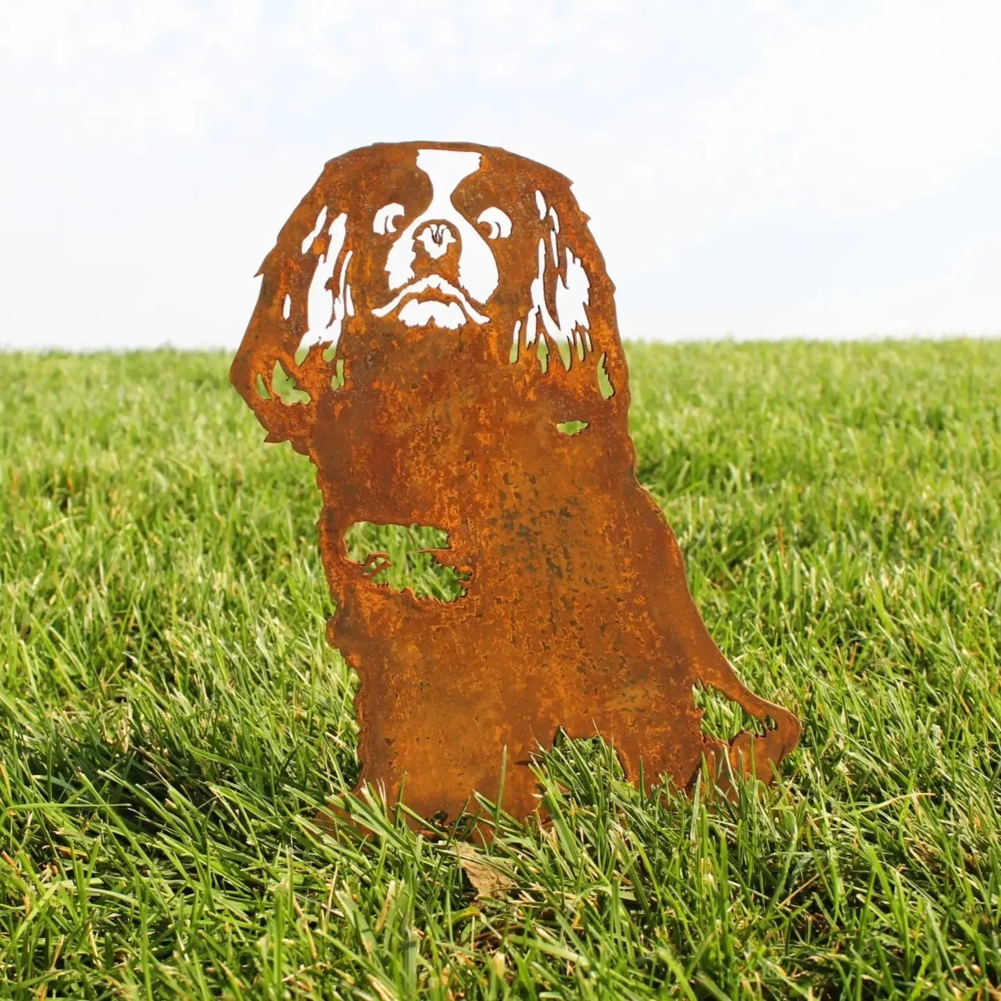 Cavalier King Charles Spaniel silhouette made of weathering steel, showcasing a rust finish among green grass.
