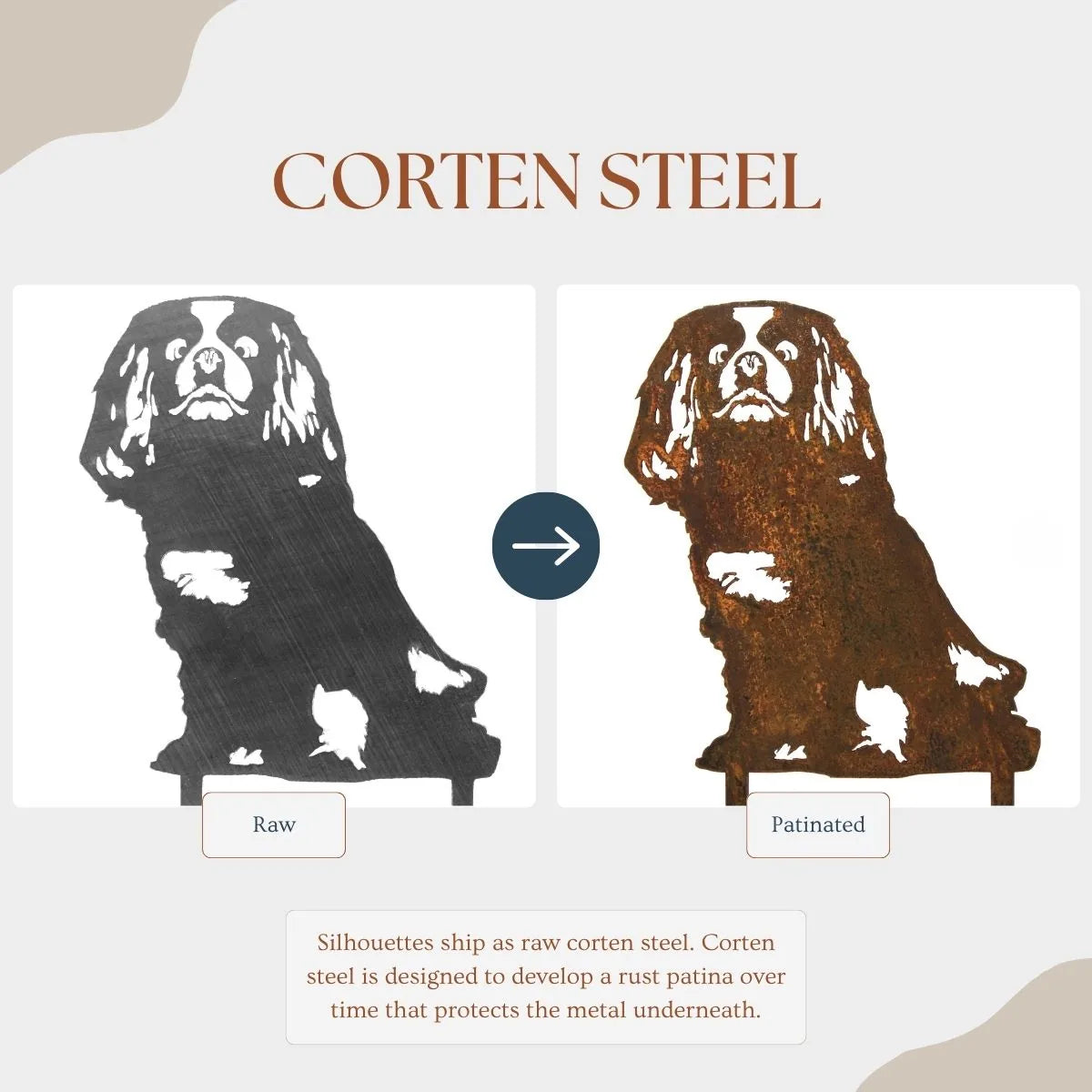 Cavalier King Charles Spaniel silhouette in raw and patinated Corten steel showcasing weathering effects.