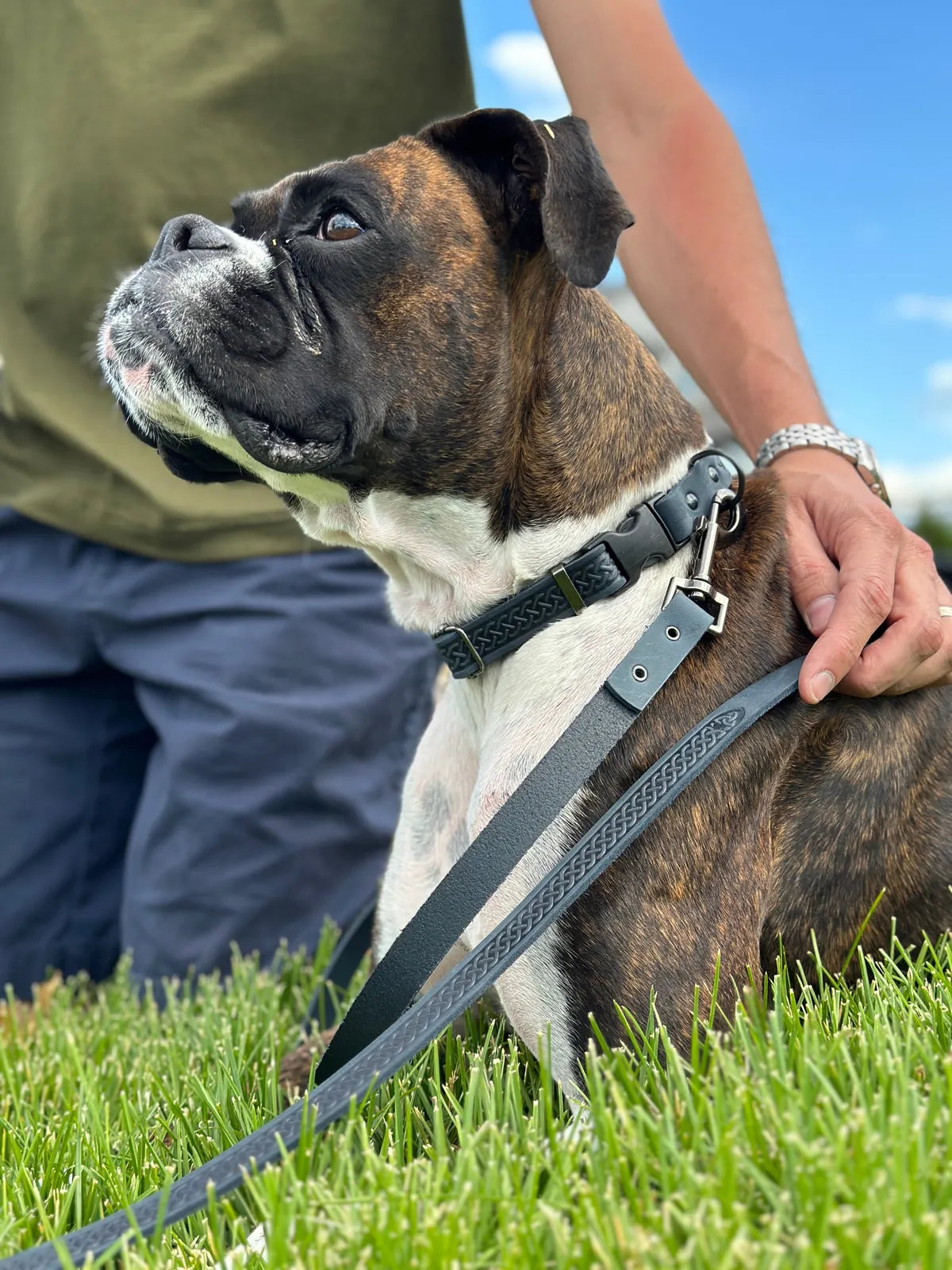 Stylish blue jeans leather dog leash with Celtic design, held by a person next to a dog on grass.