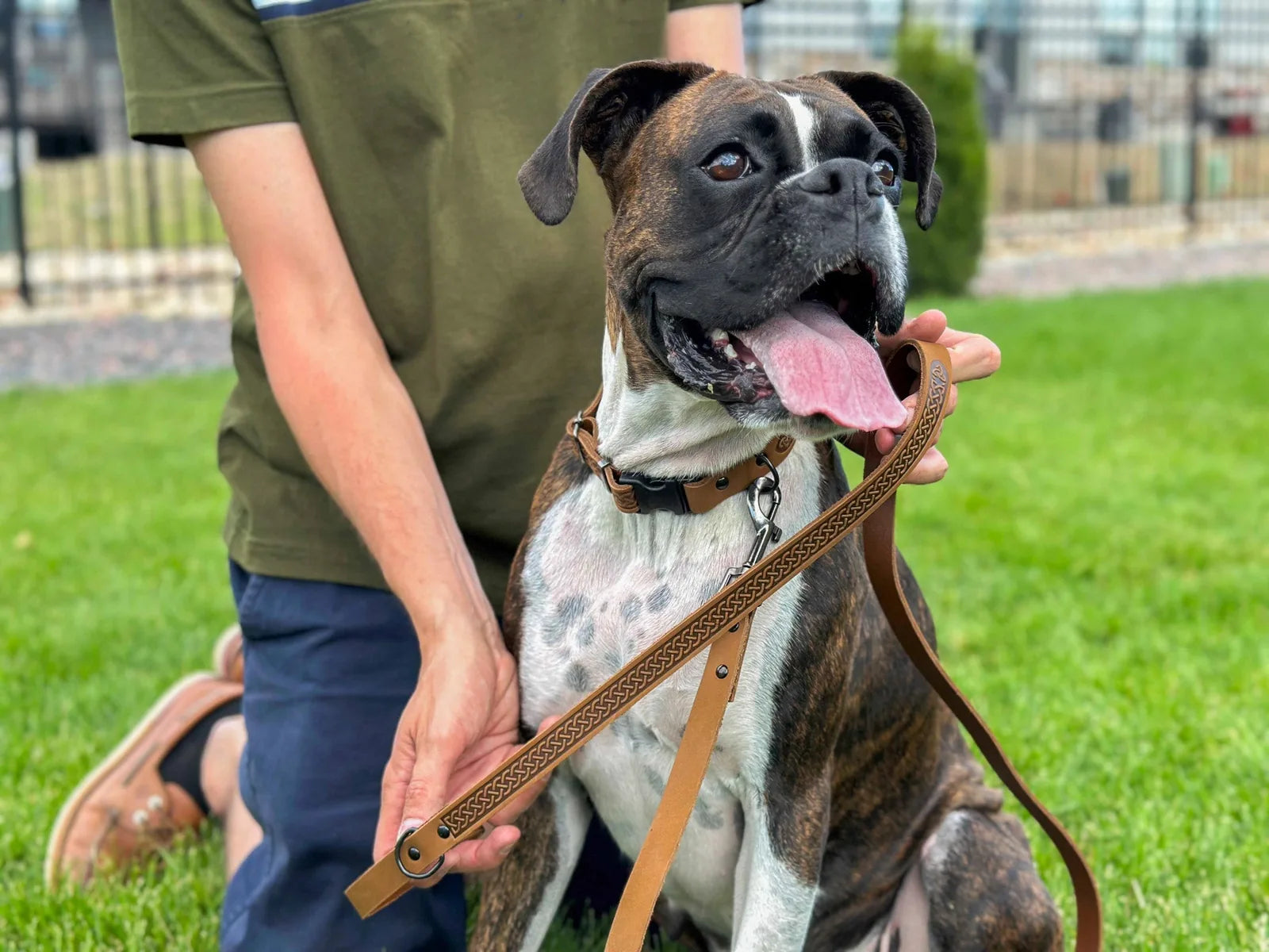 Celtic design Earth Brown leather dog leash held by a person, with a happy dog sitting on green grass.