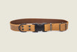 Euro-Dog Collars and Leads