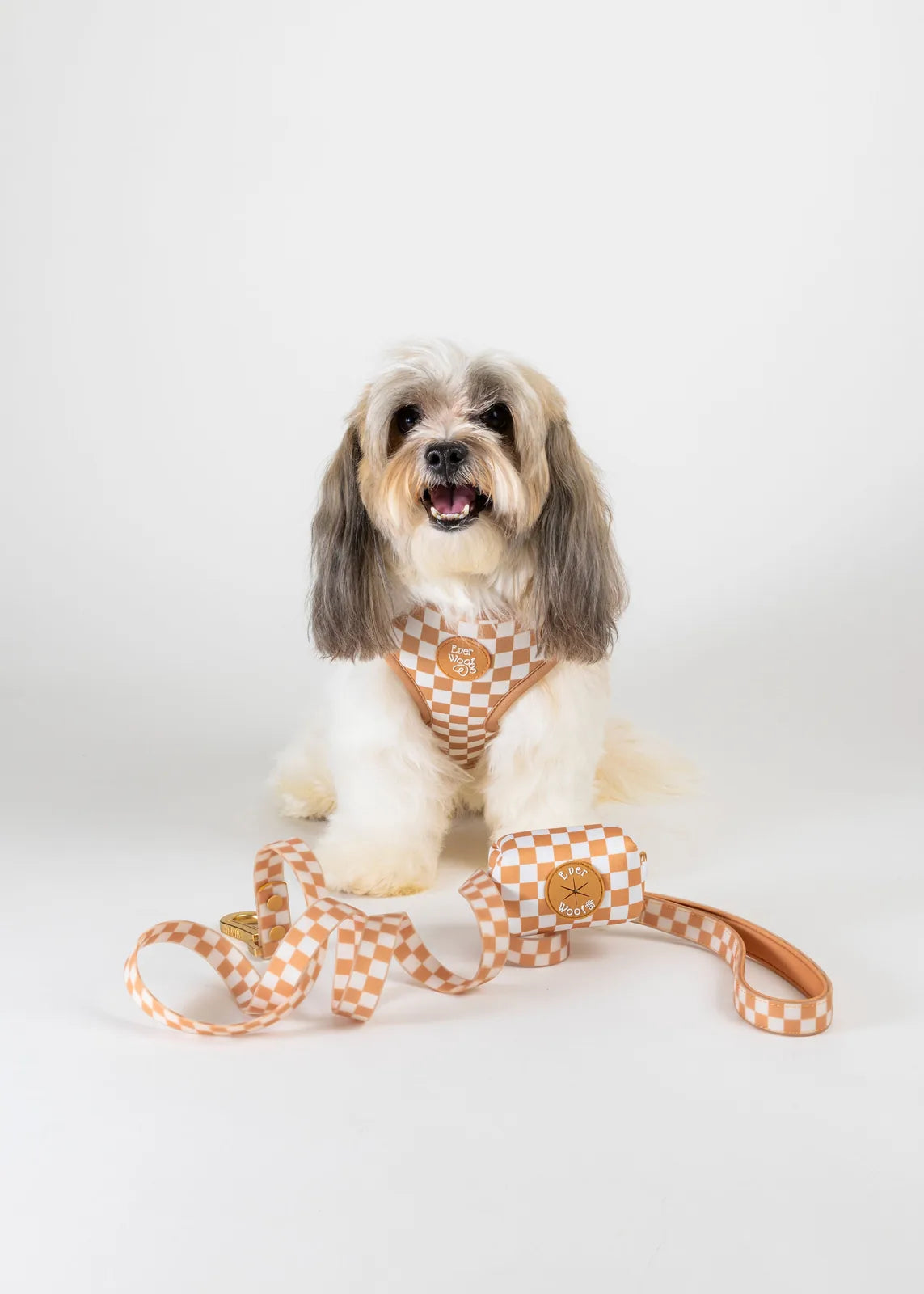 Stylish dog wearing a Check Me Out Adjustable Harness with a peach and white checkered pattern, alongside a matching leash.