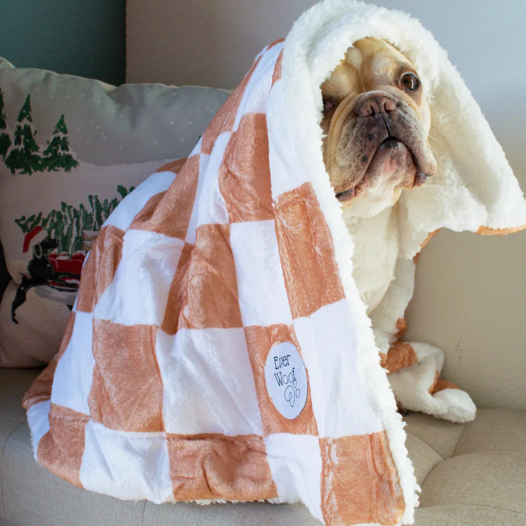 Dog wrapped in a cozy orange and white checkered blanket by EverWoof, showcasing soft micro-fiber and cream sherpa material.