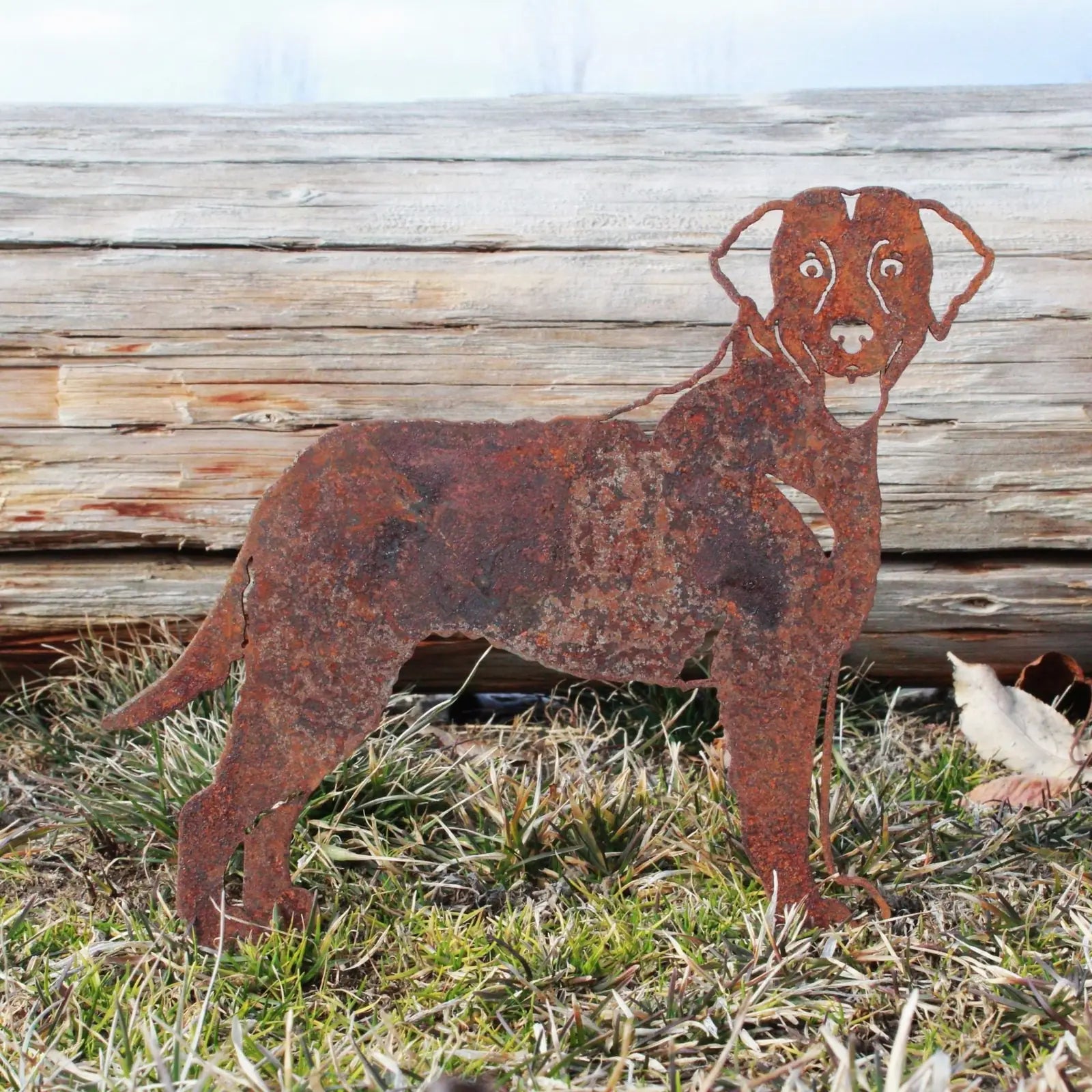 Rusty metal silhouette of a Chesapeake Bay Retriever standing on grass, featuring detailed facial features and natural pat...