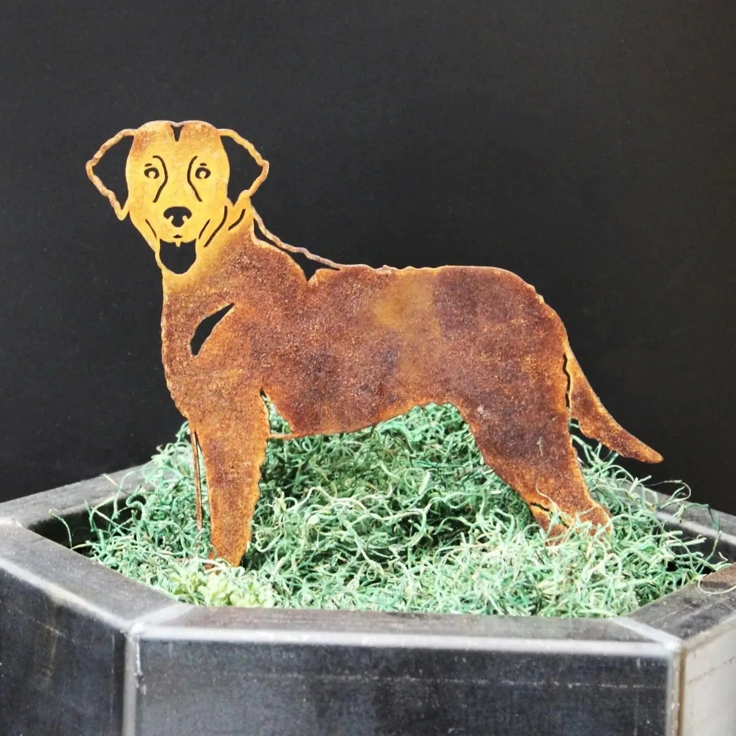 Handcrafted Corten steel silhouette of a Chesapeake Bay Retriever, featuring a rustic patina, displayed on green moss.