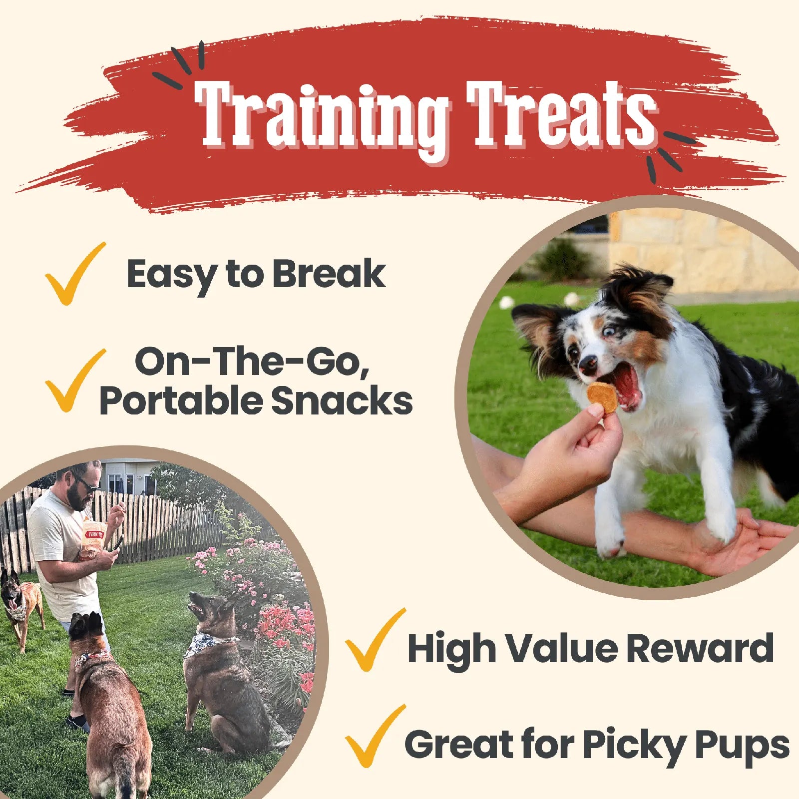 Crunchy chicken treat being given to a happy dog, highlighting easy-to-break and portable training snack features.