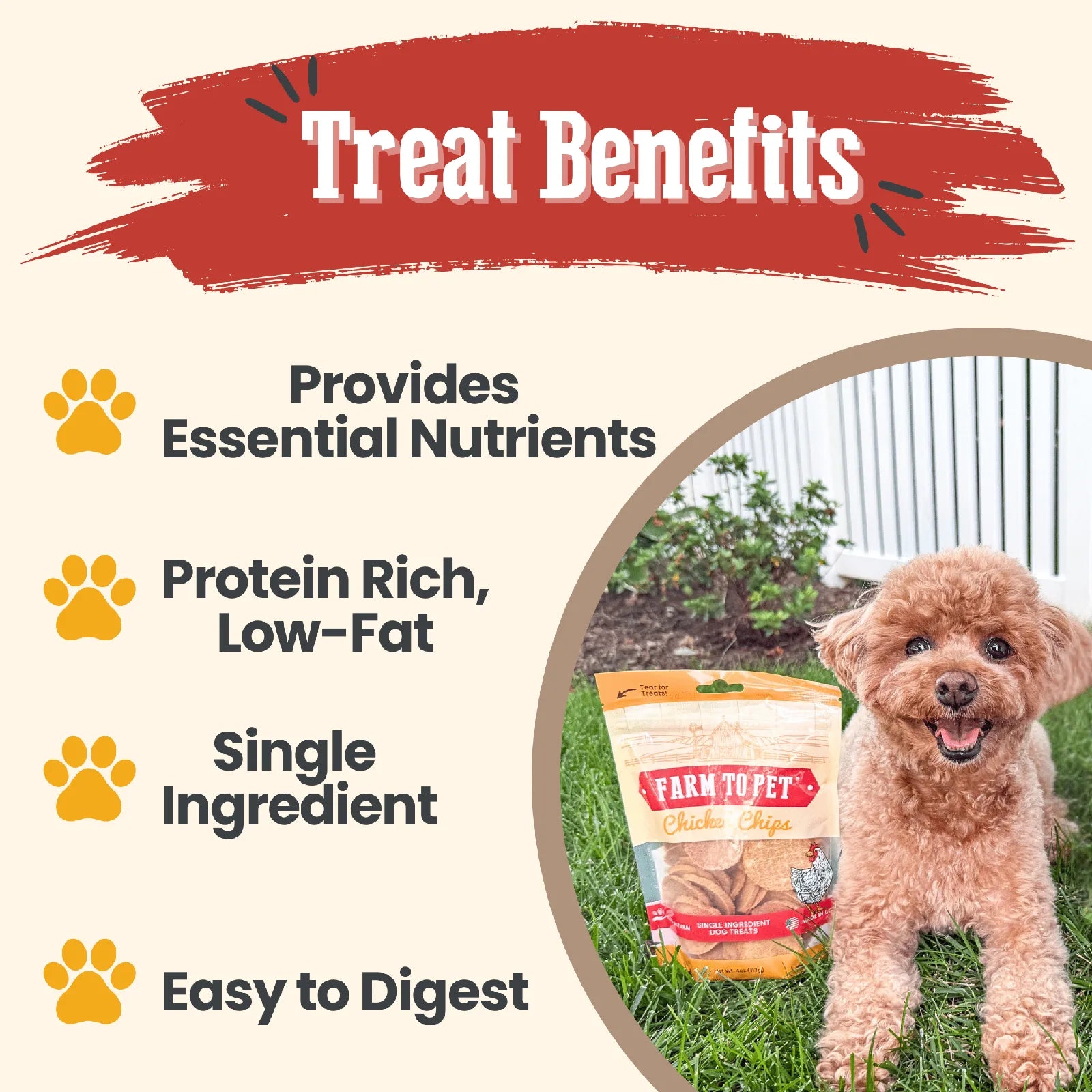 Crunchy Farm To Pet Chicken Chips bag next to a happy, fluffy dog on grass, highlighting treat benefits.