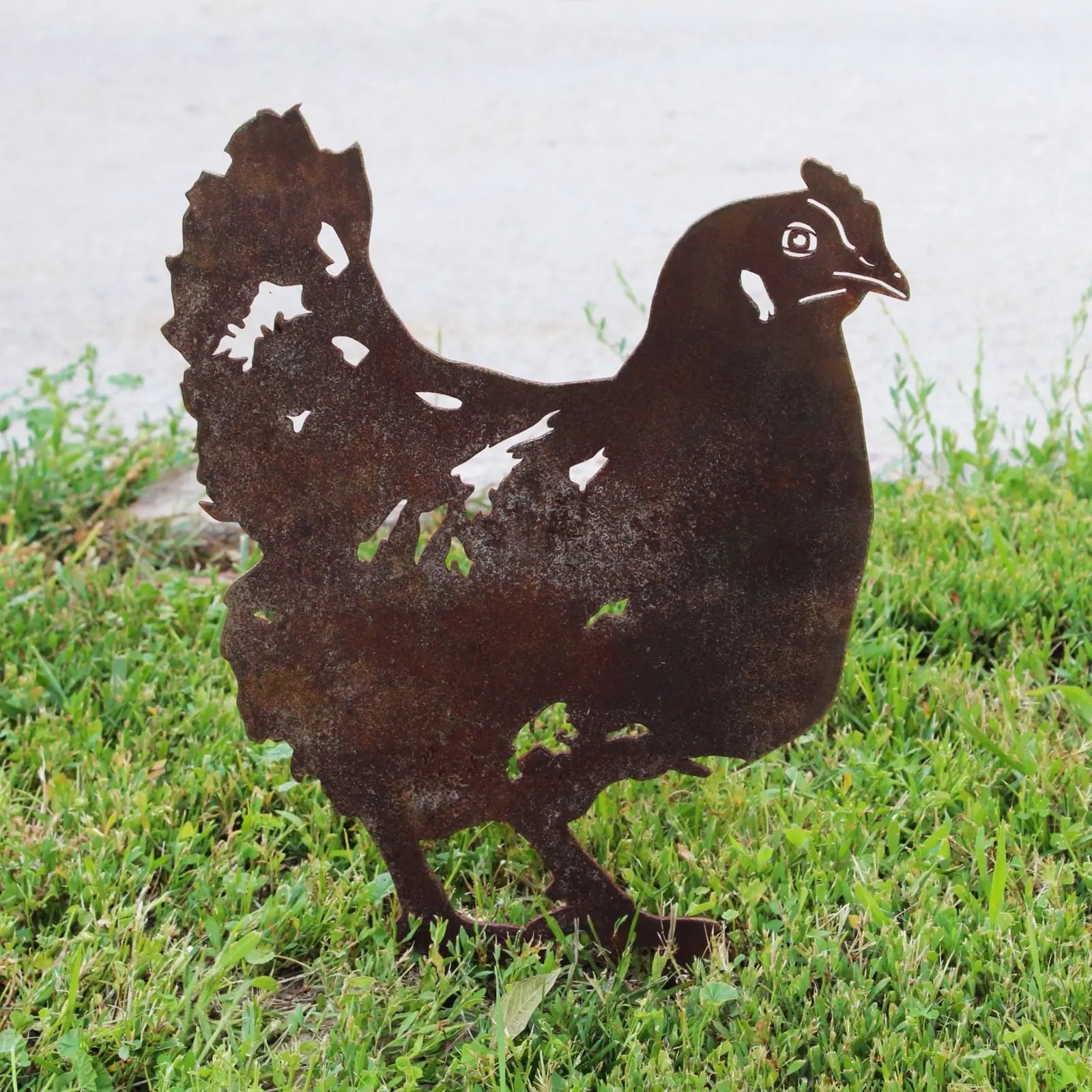 Rusty Corten steel chicken silhouette standing in grass, adding rustic charm to outdoor garden decor.