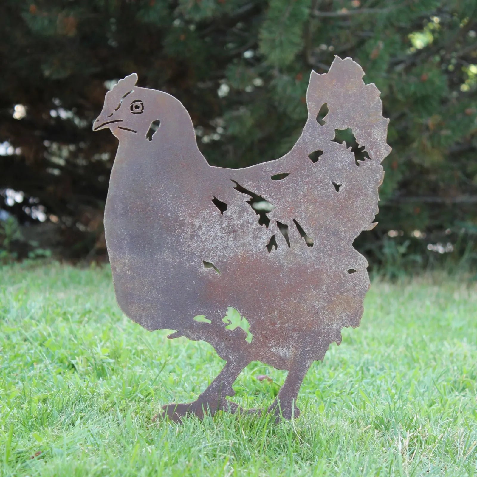 Rusty Corten steel chicken silhouette sculpture on green grass, adding rustic charm to outdoor garden decor.