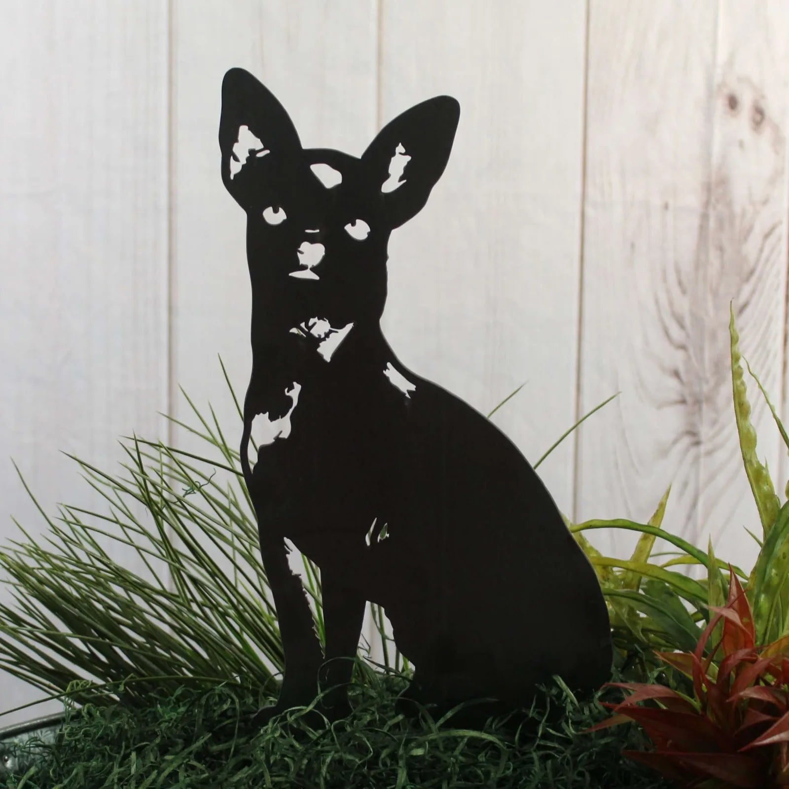 Black metal silhouette of a Chihuahua dog seated among green grass and decorative plants.