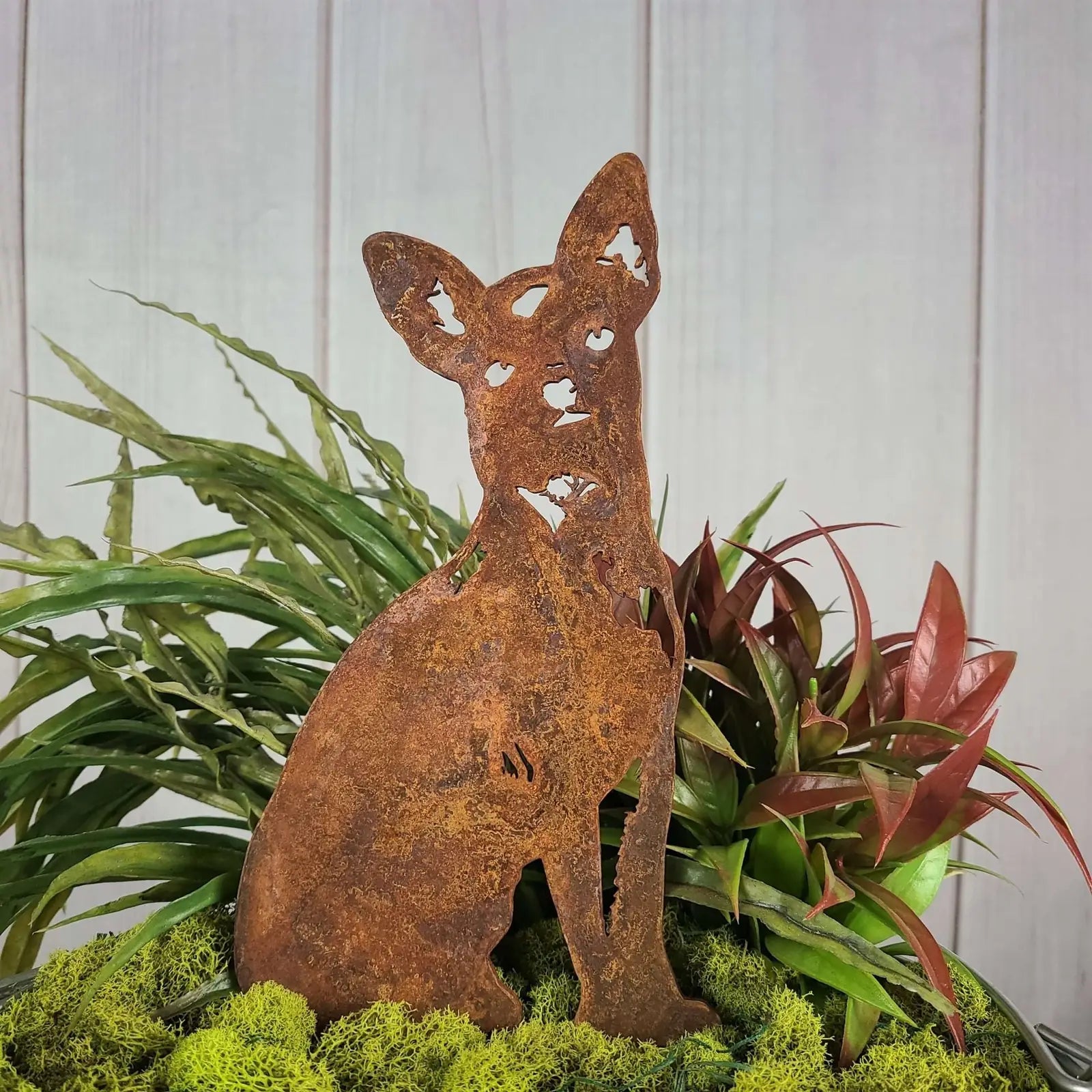 Rustic metal silhouette of a sitting Chihuahua dog in Corten steel, surrounded by vibrant greenery and moss.
