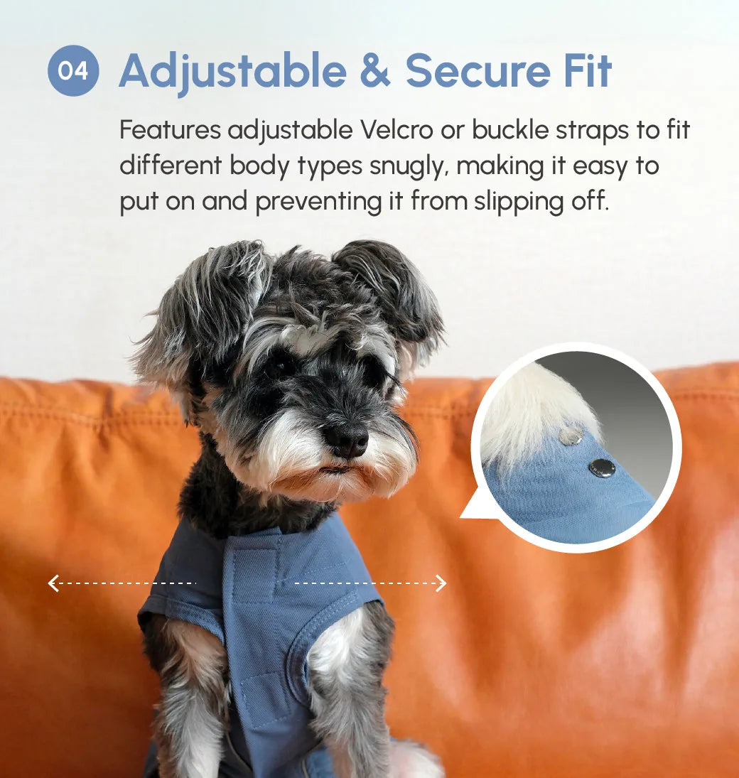 Dog wearing a blue CHILL VEST SHIRT, showcasing adjustable straps and soft fabric, against a leather couch background.