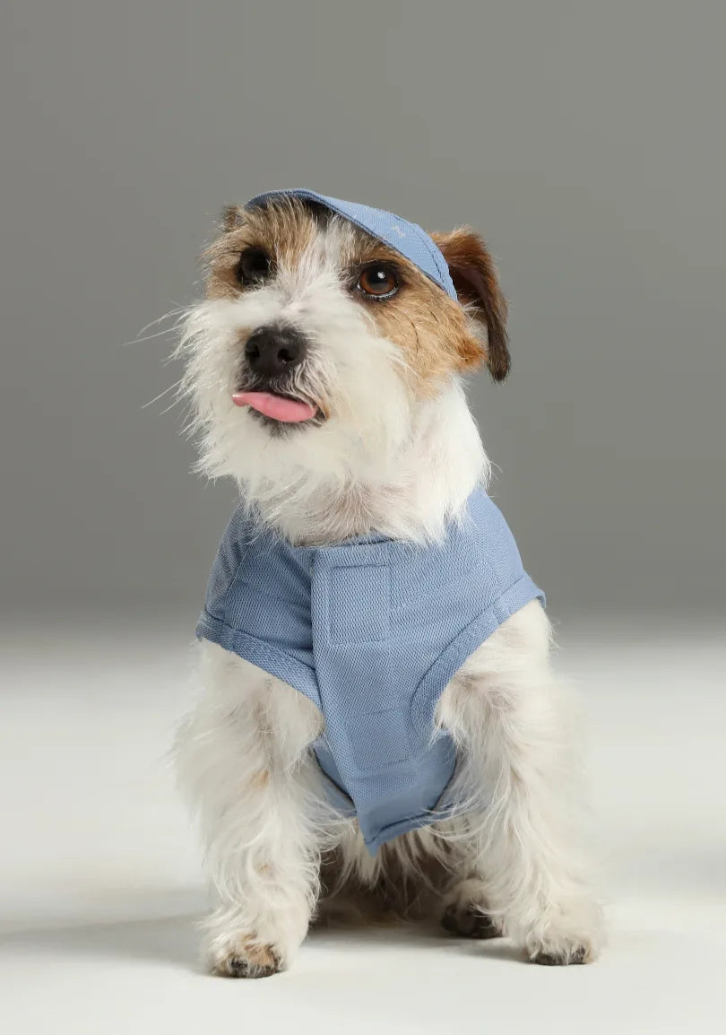 Light blue dog vest shirt with textured fabric, designed for comfort and movement, worn by a small dog.
