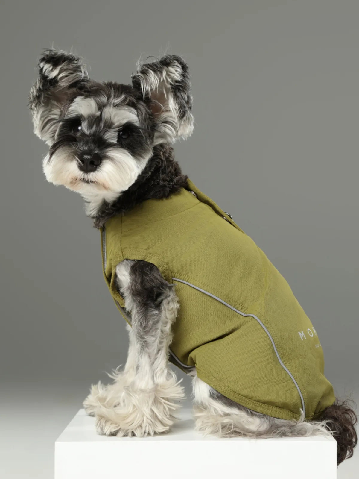 Schnauzer wearing a green lightweight vest shirt with reflective strips, designed for comfort and free movement.