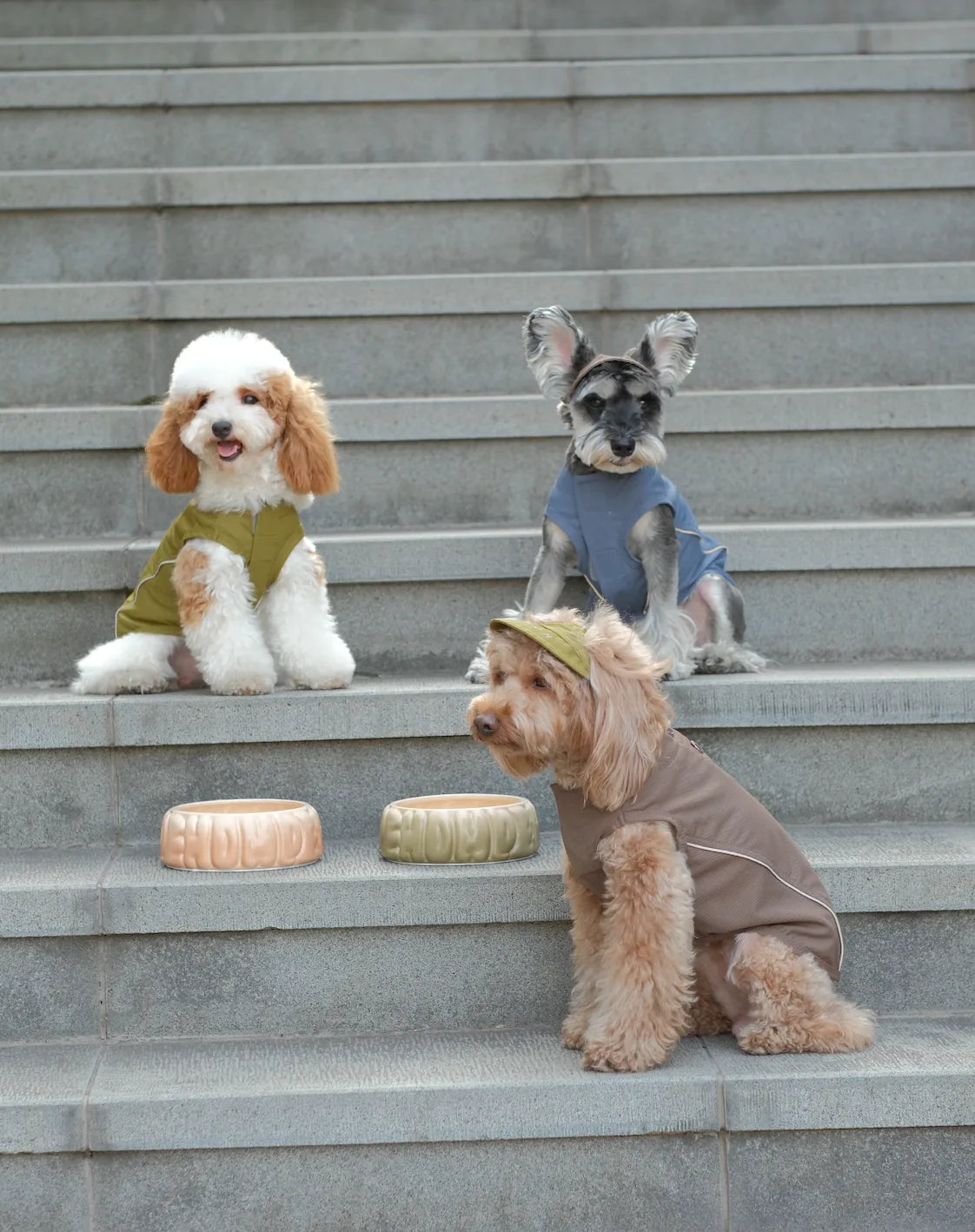 Three dogs wear stylish vest shirts on stone steps, showcasing the CHILL VEST SHIRT in green, blue, and brown.