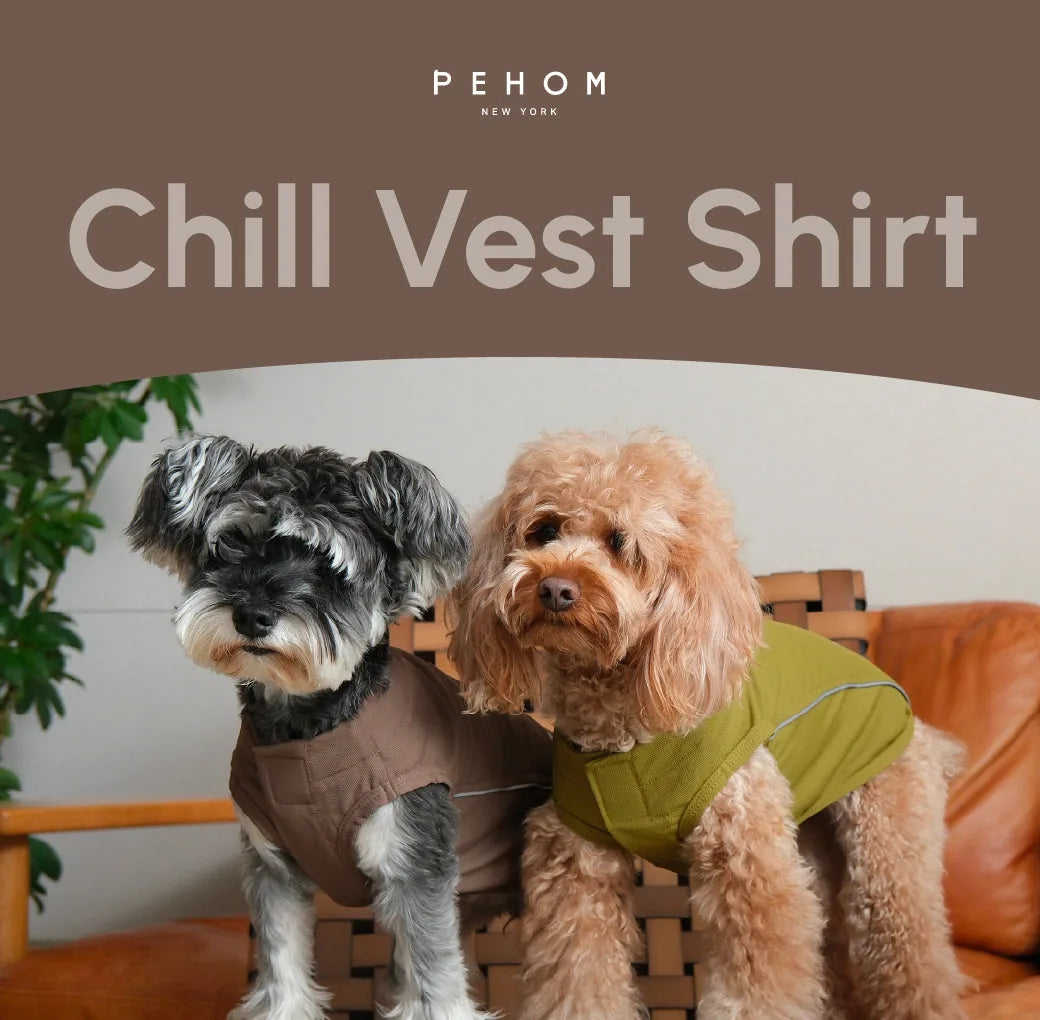 Two dogs wearing lightweight green and brown vest shirts, highlighting comfort and free movement in a stylish setting.