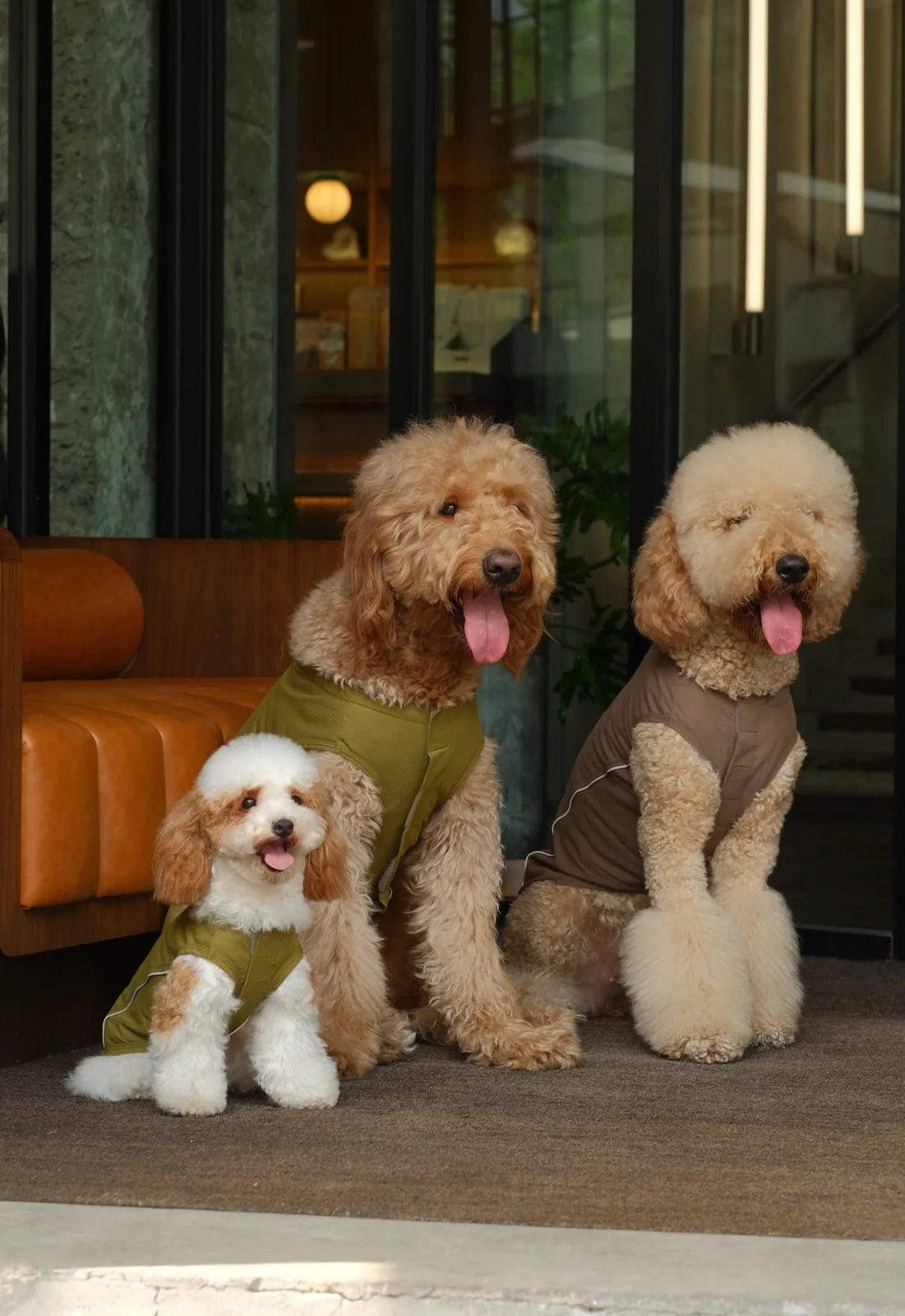 Three dogs wearing stylish dog vests sit in a cozy indoor setting, showcasing the green vest on the smallest dog.