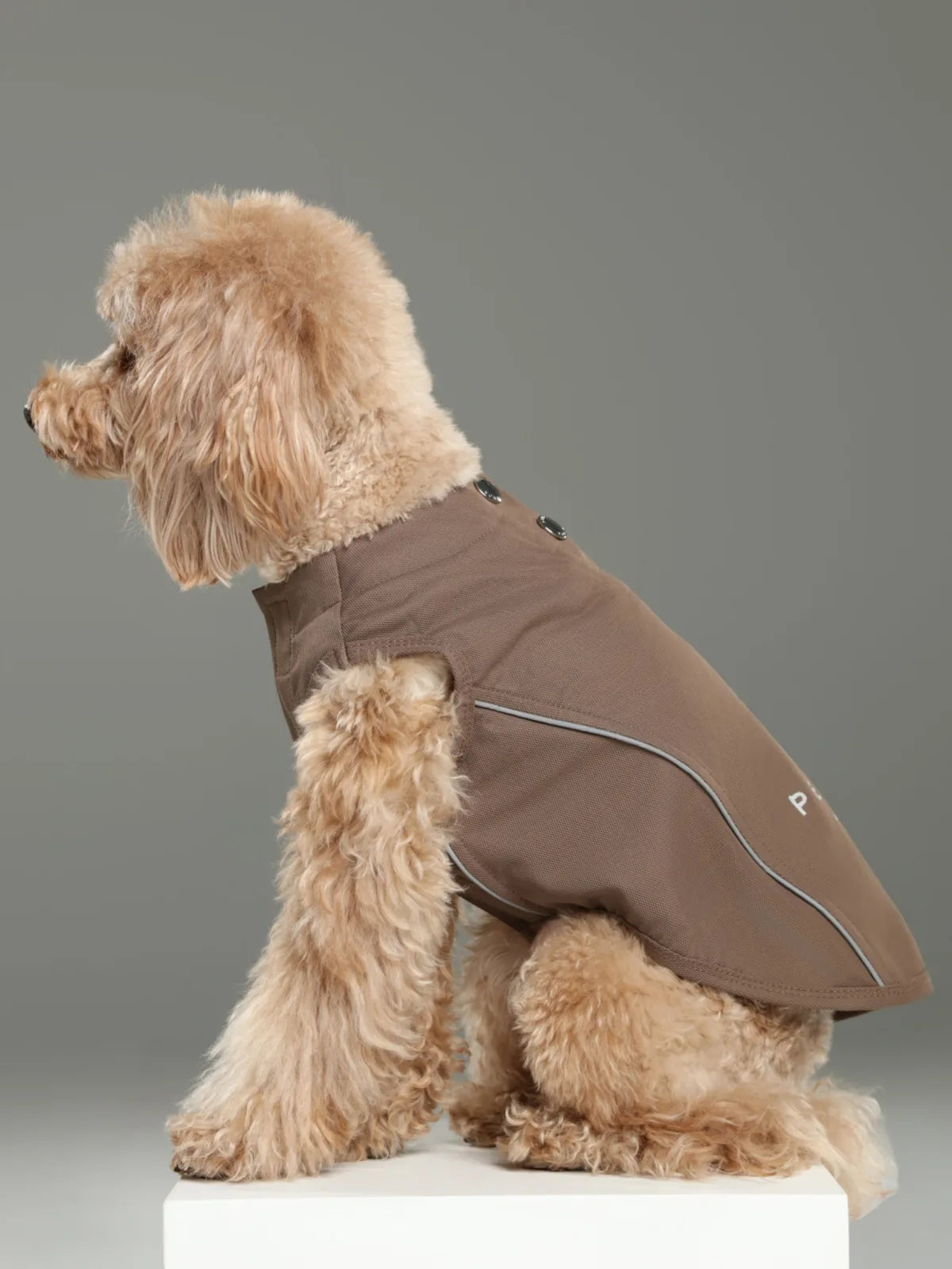 Mocha dog vest shirt with reflective strips, designed for comfort and movement, fits snugly for active pets.
