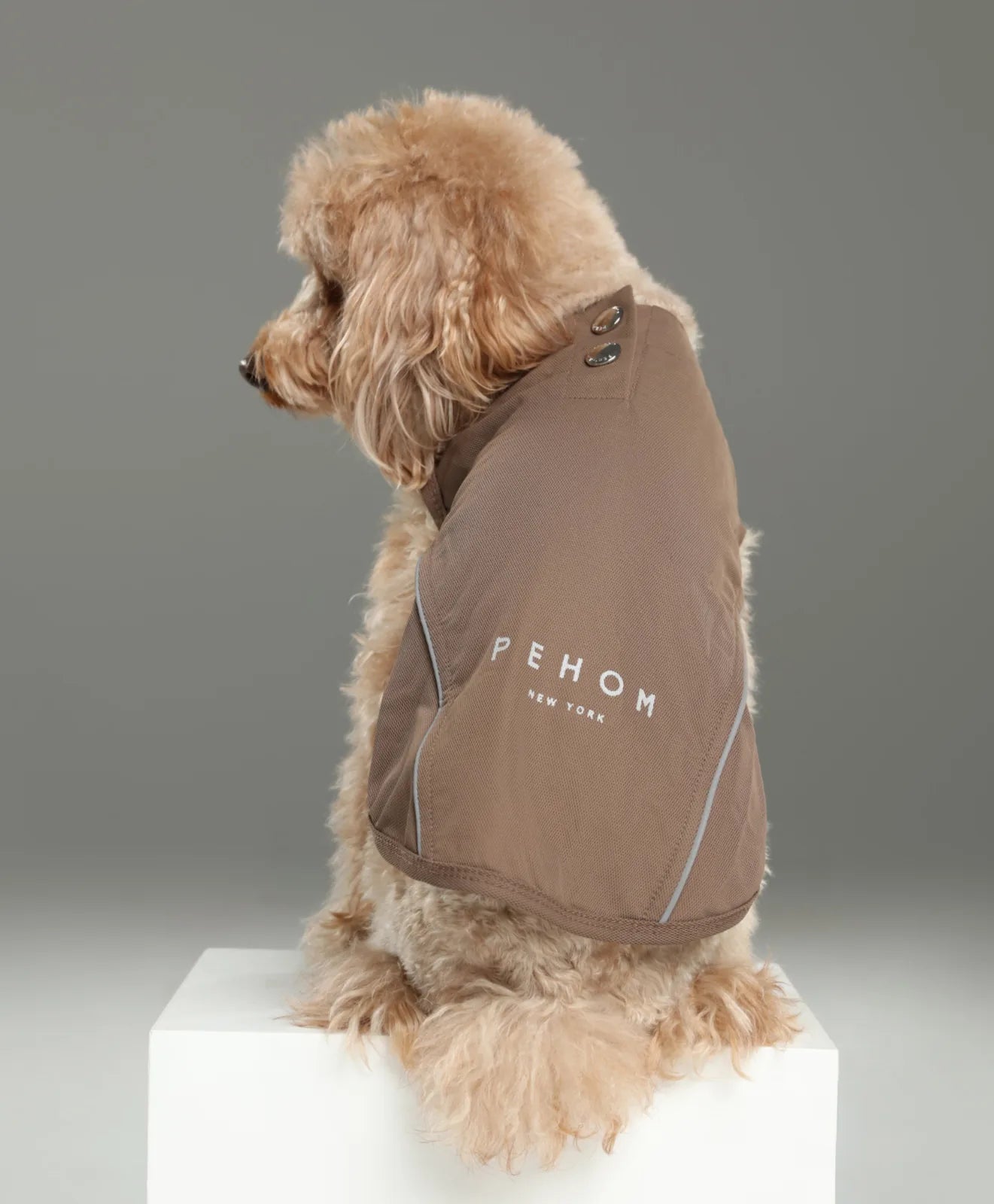 Mocha Chill Vest Shirt by Pehom NYC on a fluffy dog, featuring reflective strips and a sleek design for free movement.