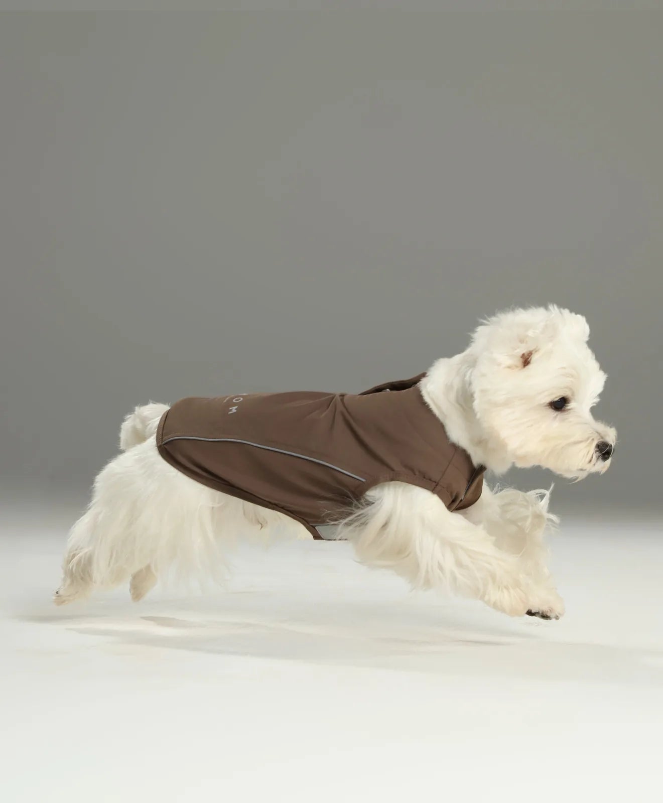 Dog in a mocha vest shirt leaps energetically, showcasing lightweight design and reflective strips for visibility.