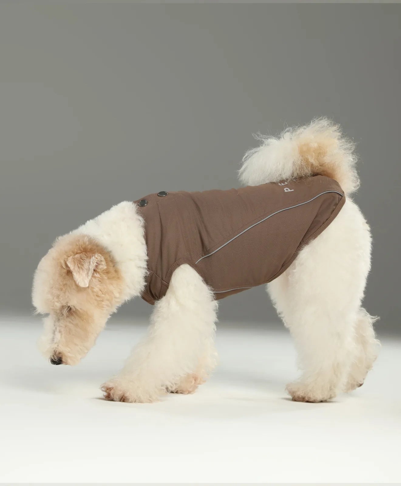 Mocha Chill Vest Shirt on a fluffy dog, featuring adjustable straps and reflective details for visibility.