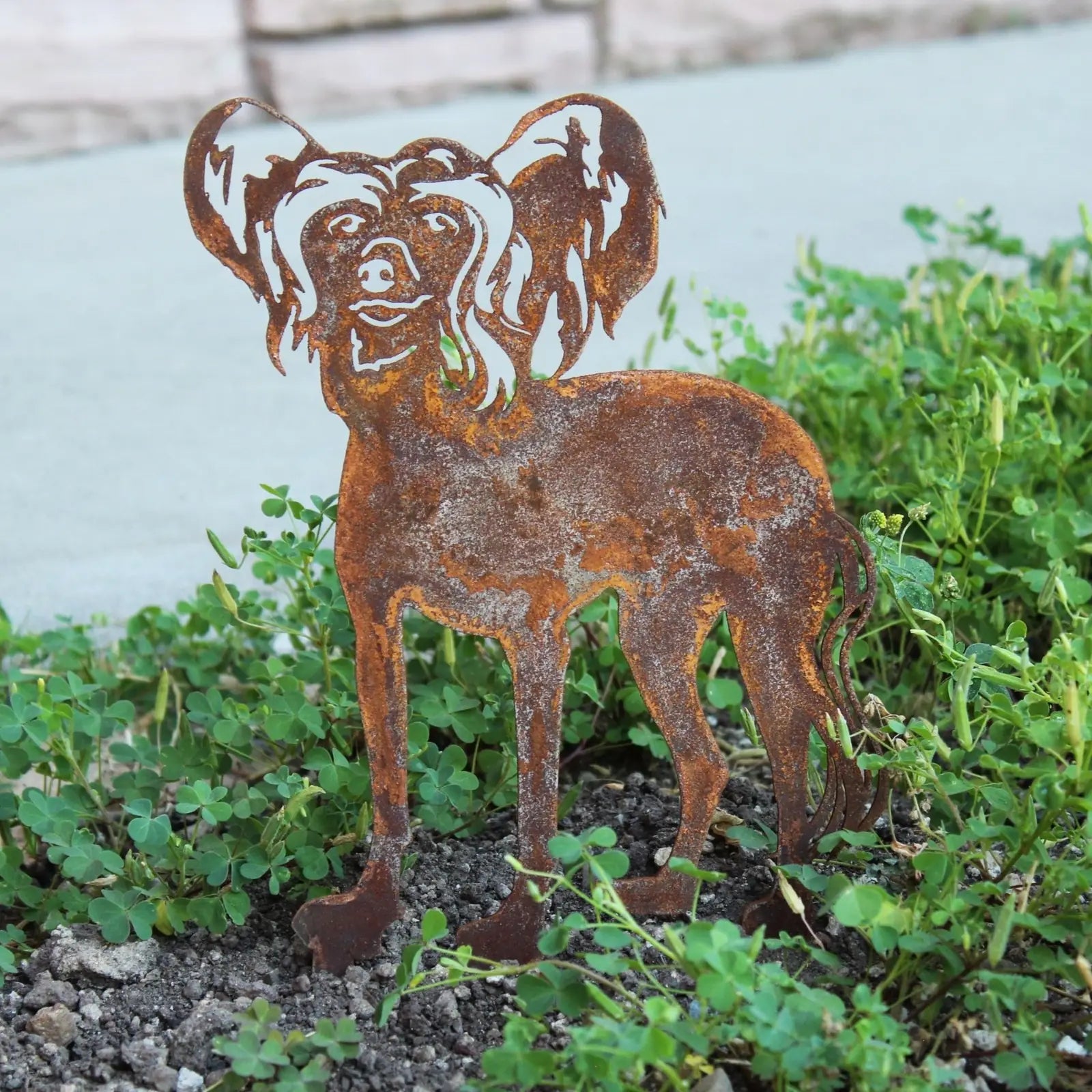 Rusty Corten steel silhouette of a Chinese Crested dog in greenery, designed for outdoor decor.