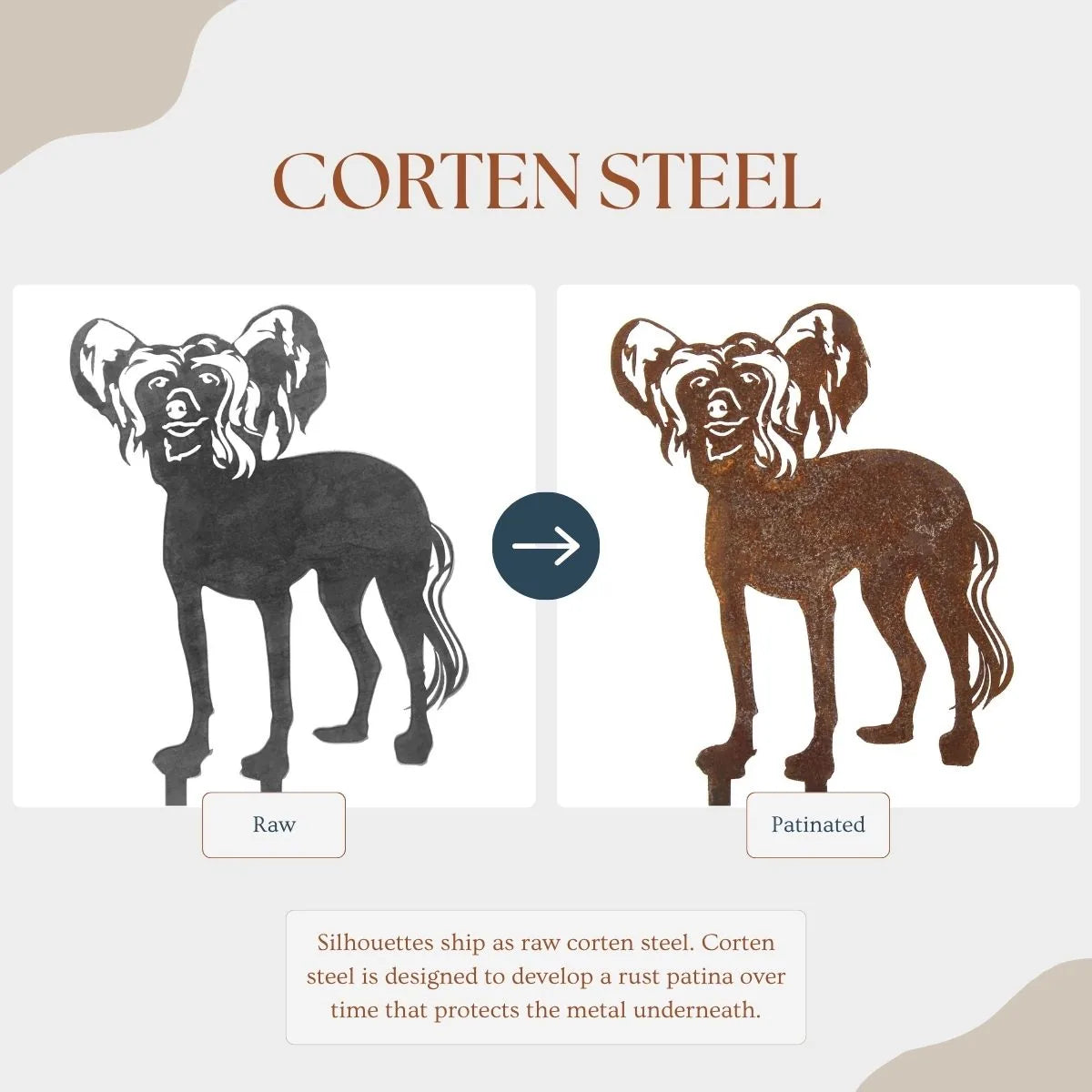 Corten steel silhouette of a Chinese Crested dog, showcasing raw and patinated finishes, ideal for outdoor decor.