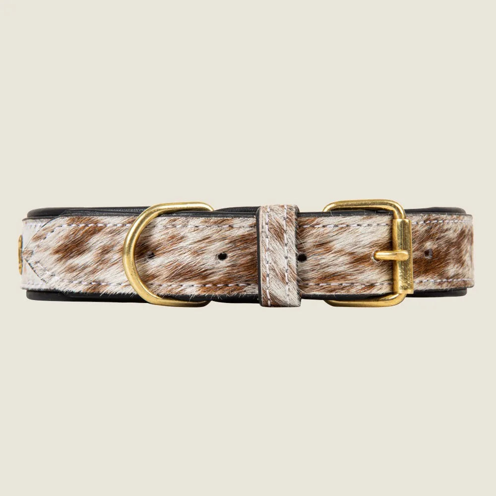 Brown and white hair-on hide dog collar with gold-tone hardware and leather backing, designed for durability and style.