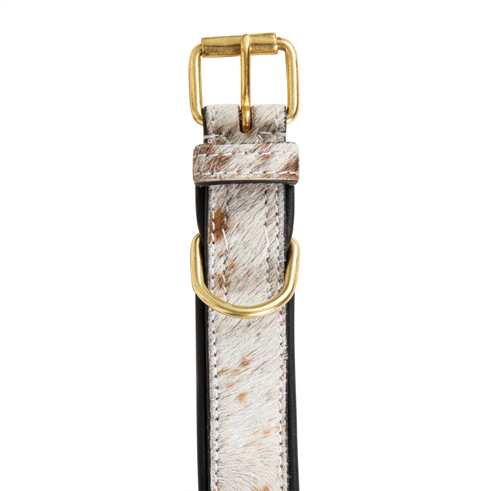 Brown and white hair-on hide leather dog collar with gold-tone hardware and adjustable buckle design.