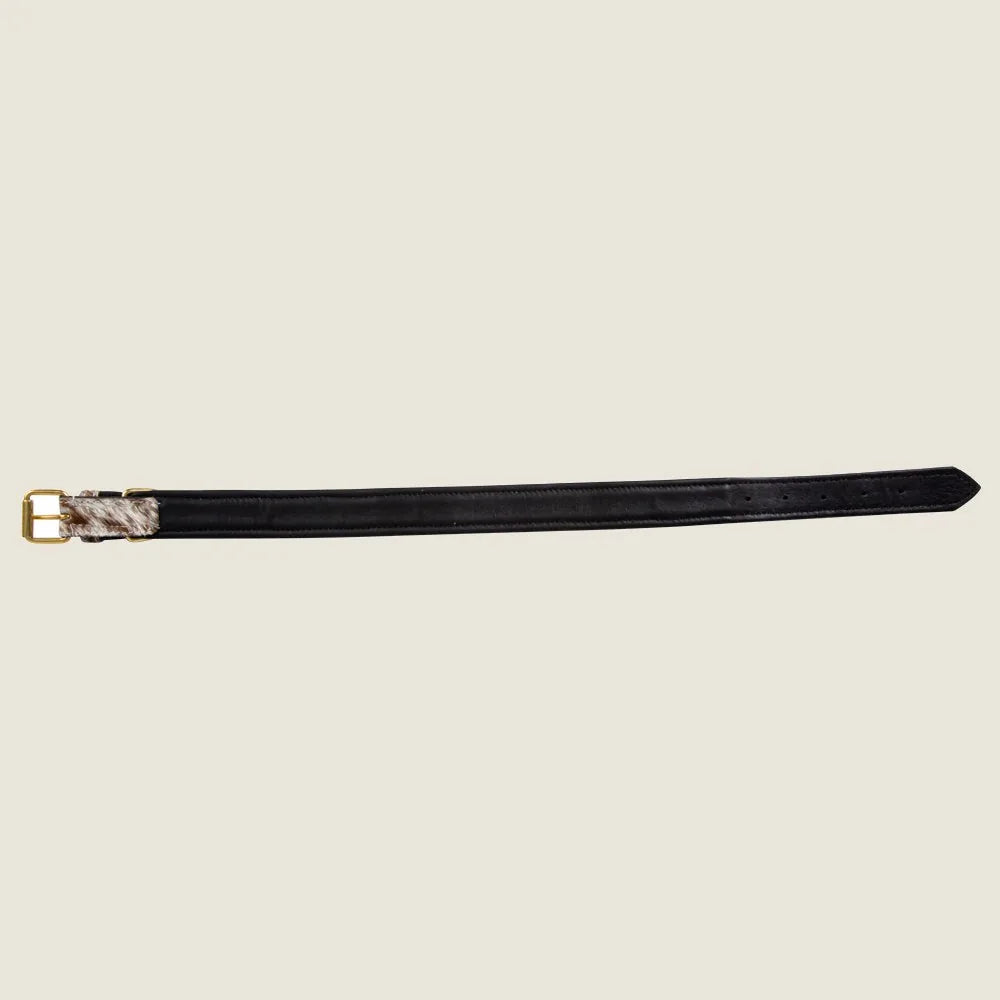 Brown and white hair-on hide leather dog collar with gold-tone bone accent, designed for durability and style.
