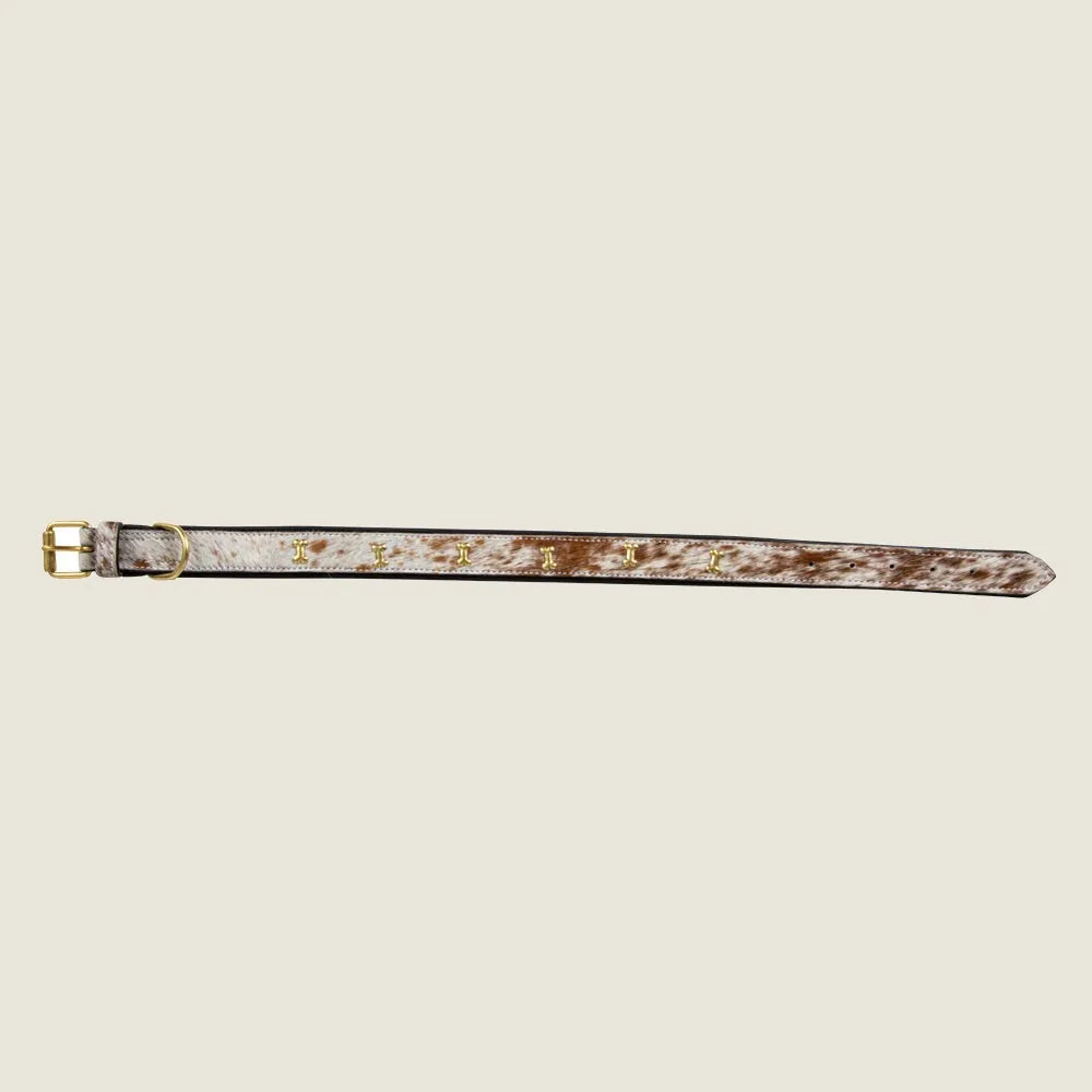 Brown and white hair-on hide dog collar with gold-tone bone accents, designed for durability and style.