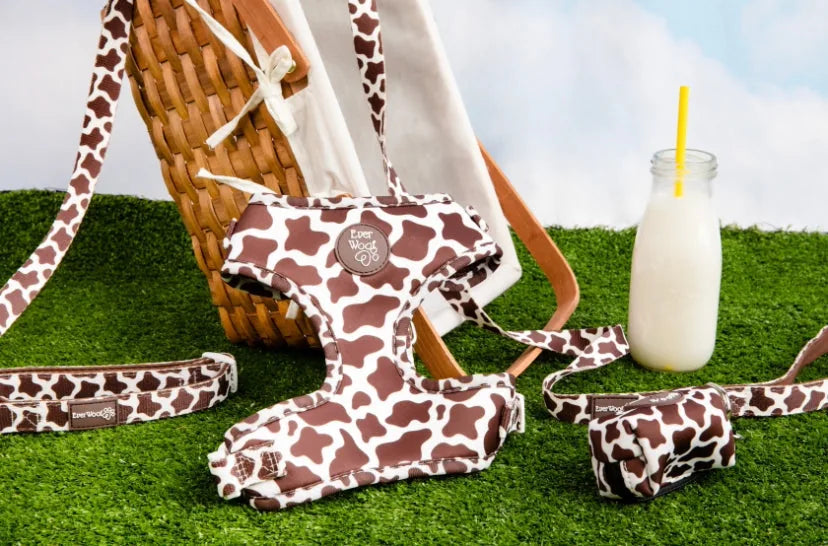 Chocolate cow print adjustable harness by EverWoof with matching leash on green grass, beside a picnic basket and milk.