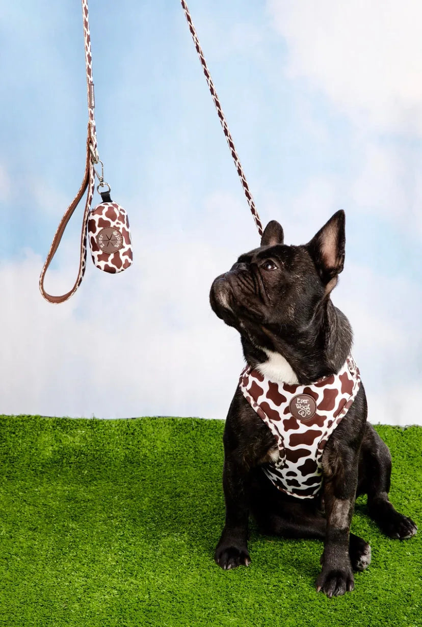 Chocolate cow print adjustable harness on a French Bulldog with a matching leash on grassy surface, bright sky backdrop.