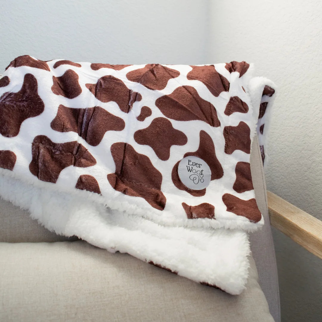 Chocolate Cow Dog Blanket by EverWoof, featuring a brown and white cow pattern with a cream sherpa underside.