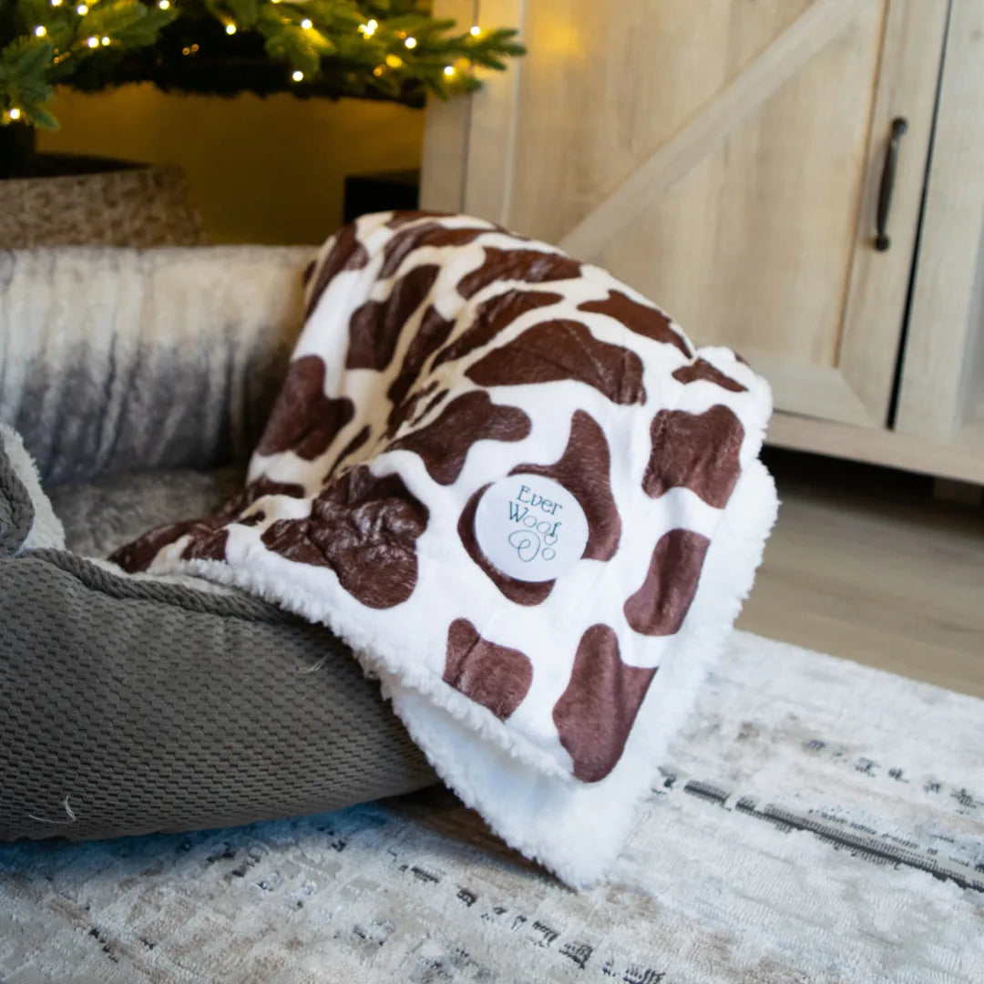 Cozy Chocolate Cow Dog Blanket by EverWoof draped over a dog bed, featuring brown cow print on soft microfiber.