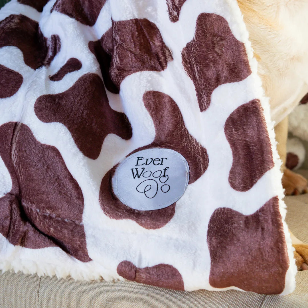 Cozy chocolate cow print blanket with soft micro-fiber and cream sherpa, featuring EverWoof tag.