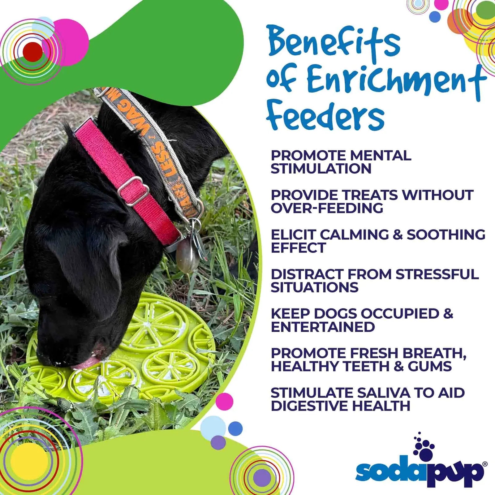 Black dog licking a vibrant lime green citrus-patterned enrichment mat, set on grass, showcasing its engaging design.