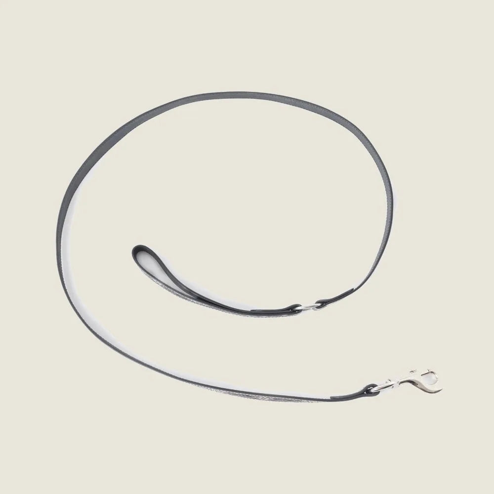 Hand-tooled black leather dog leash with braided border and metallic accents, designed for stylish everyday walks.