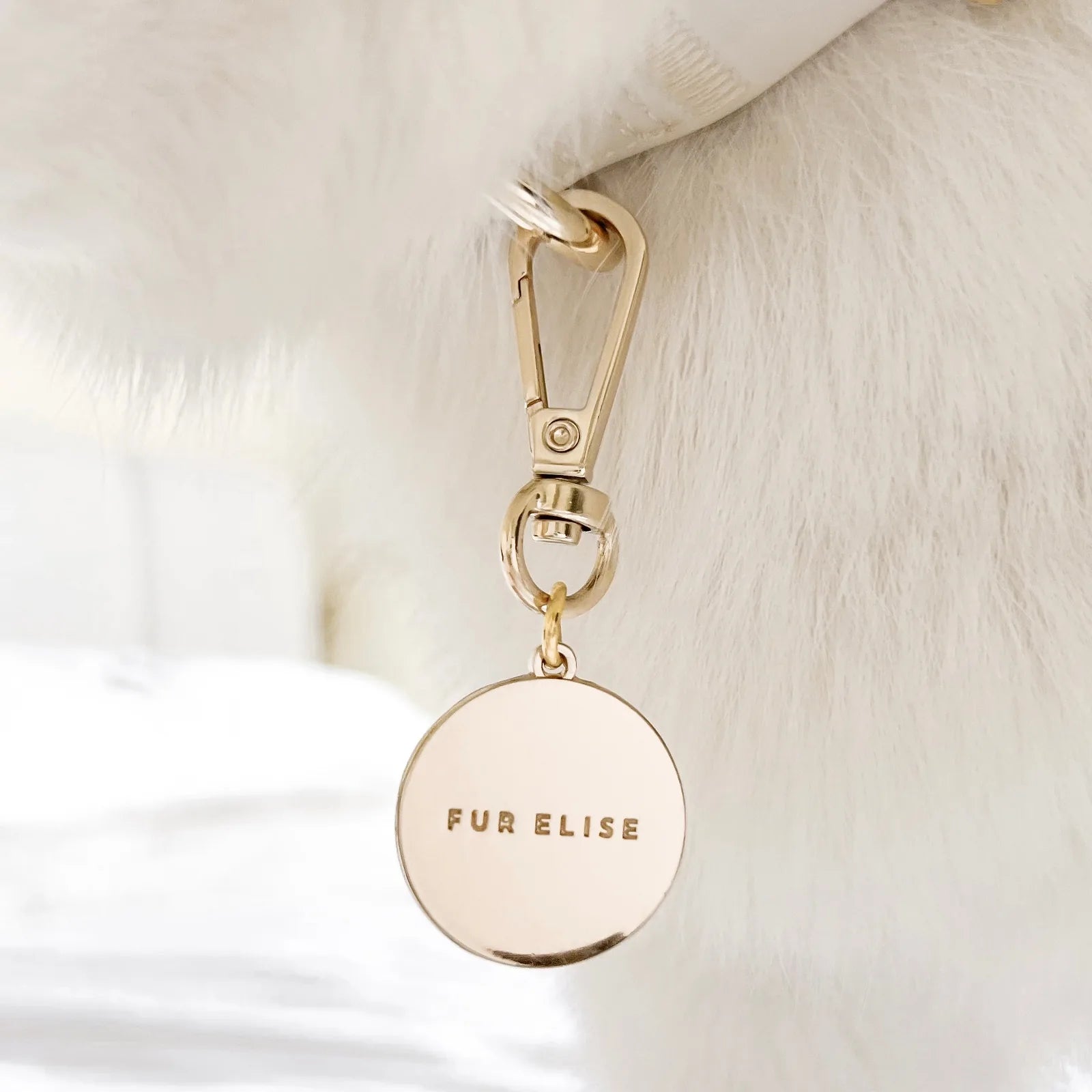 Light gold logo charm with "FUR ELISE" inscribed, attached to a dog collar by a lobster claw clasp.