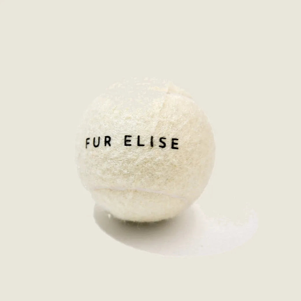 Classic bone-colored tennis ball for dogs, featuring a natural rubber core and "Fur Elise" text.