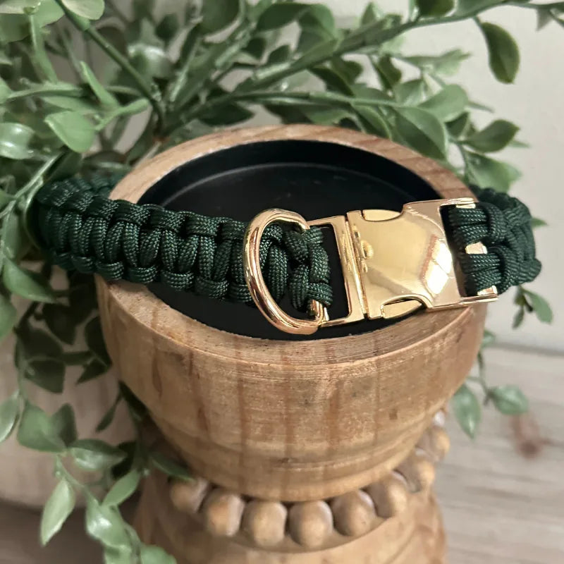 Emerald green handmade braided dog collar featuring a gold side release buckle and sturdy D-ring for leash attachment.