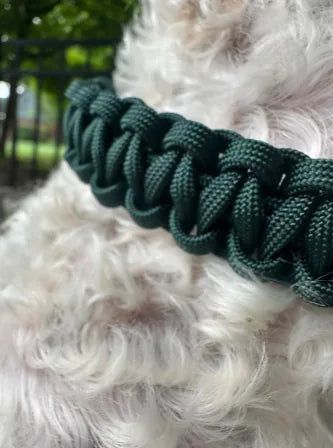 Handwoven emerald green cobra braid dog collar made from premium nylon paracord, showcasing a stylish and durable design.