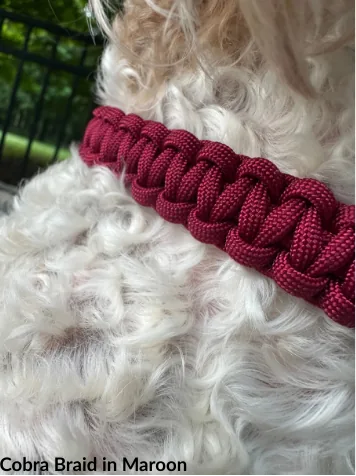 Handmade maroon cobra braid dog collar on a fluffy white dog, showcasing the durable, braided nylon paracord design.